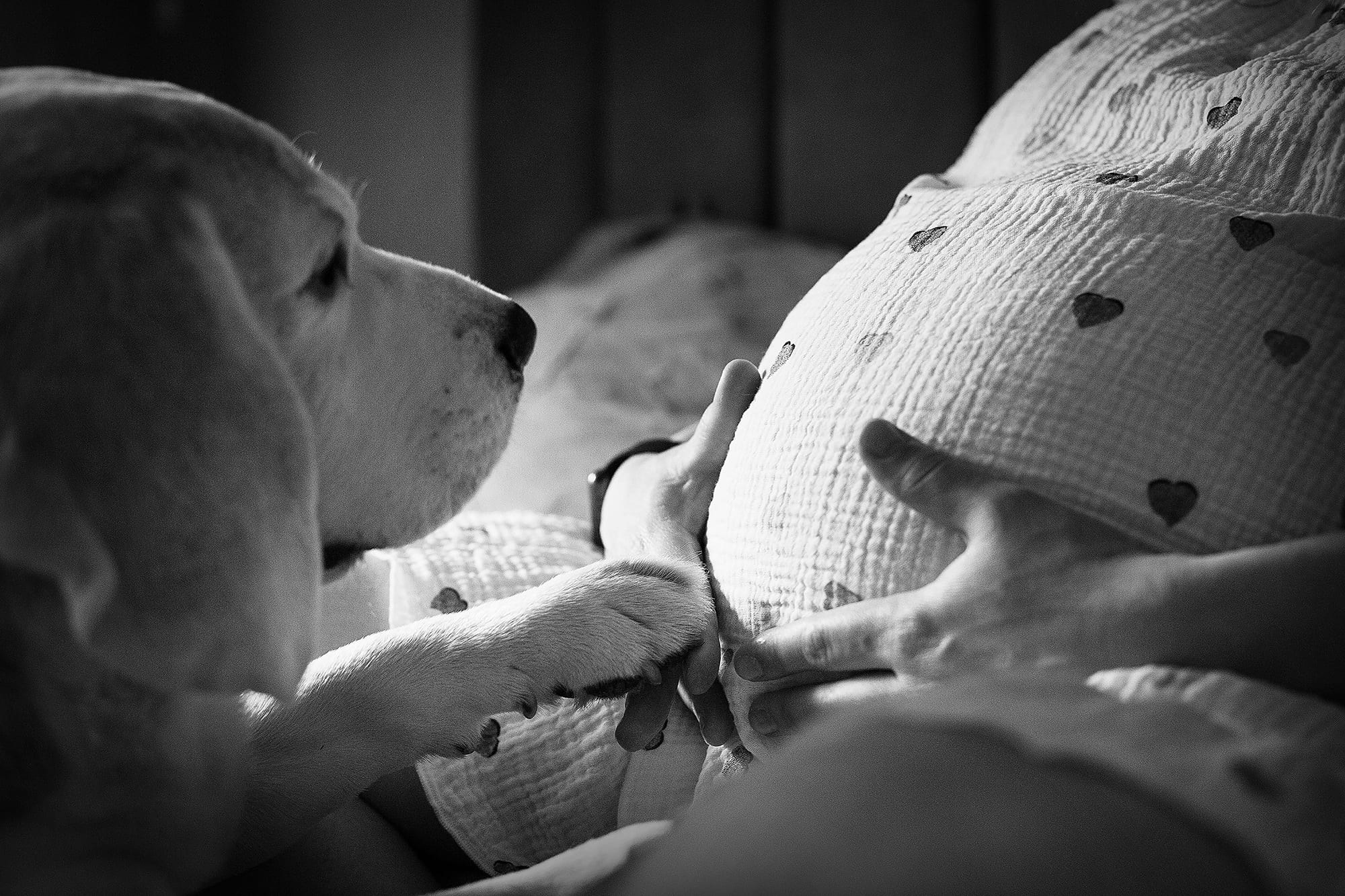 professional-photo-of-a-person-in-a-home-environment