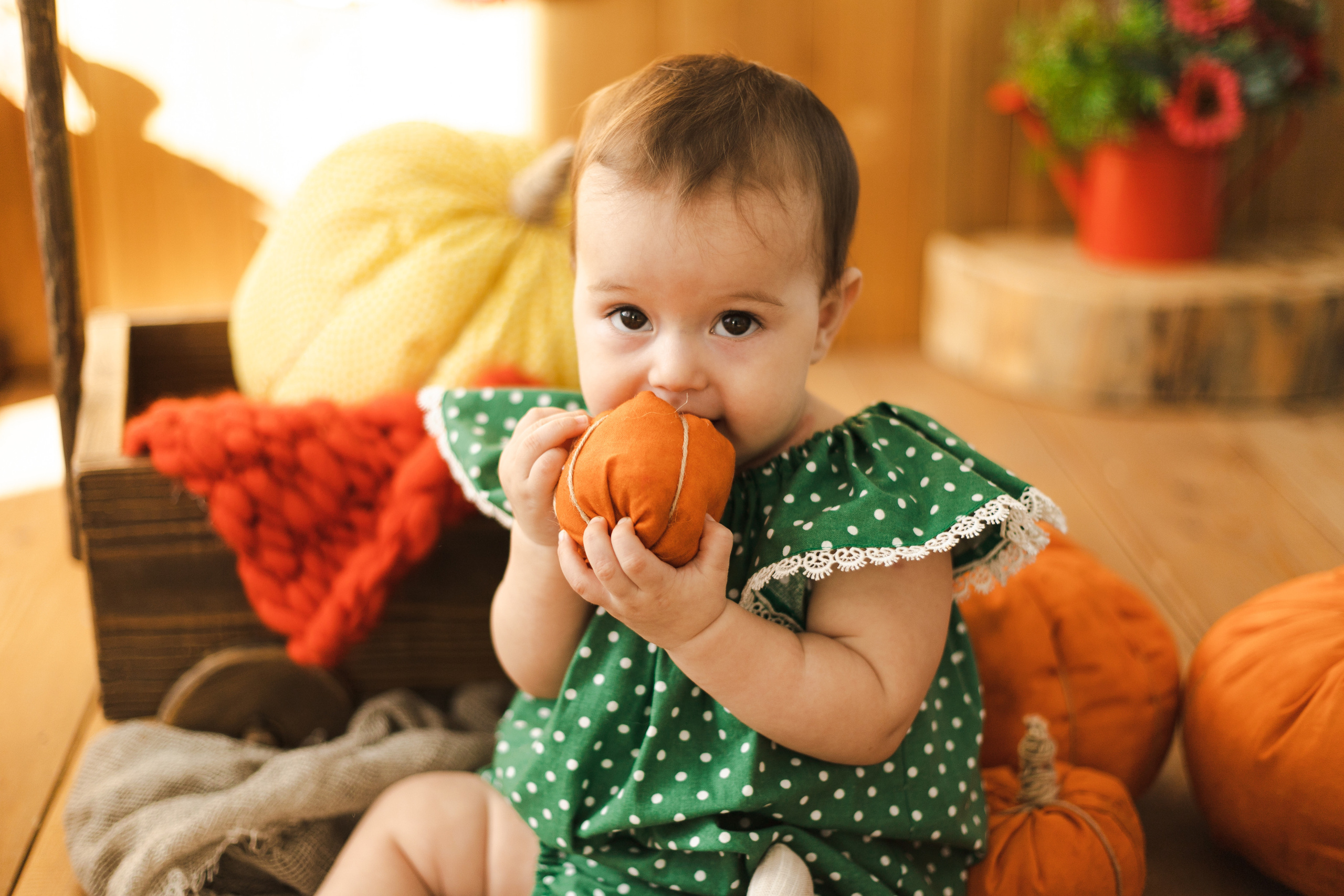 Фотографии для малышей от 6 месяцев. Фотограф в Иркутске Тома Кабанова