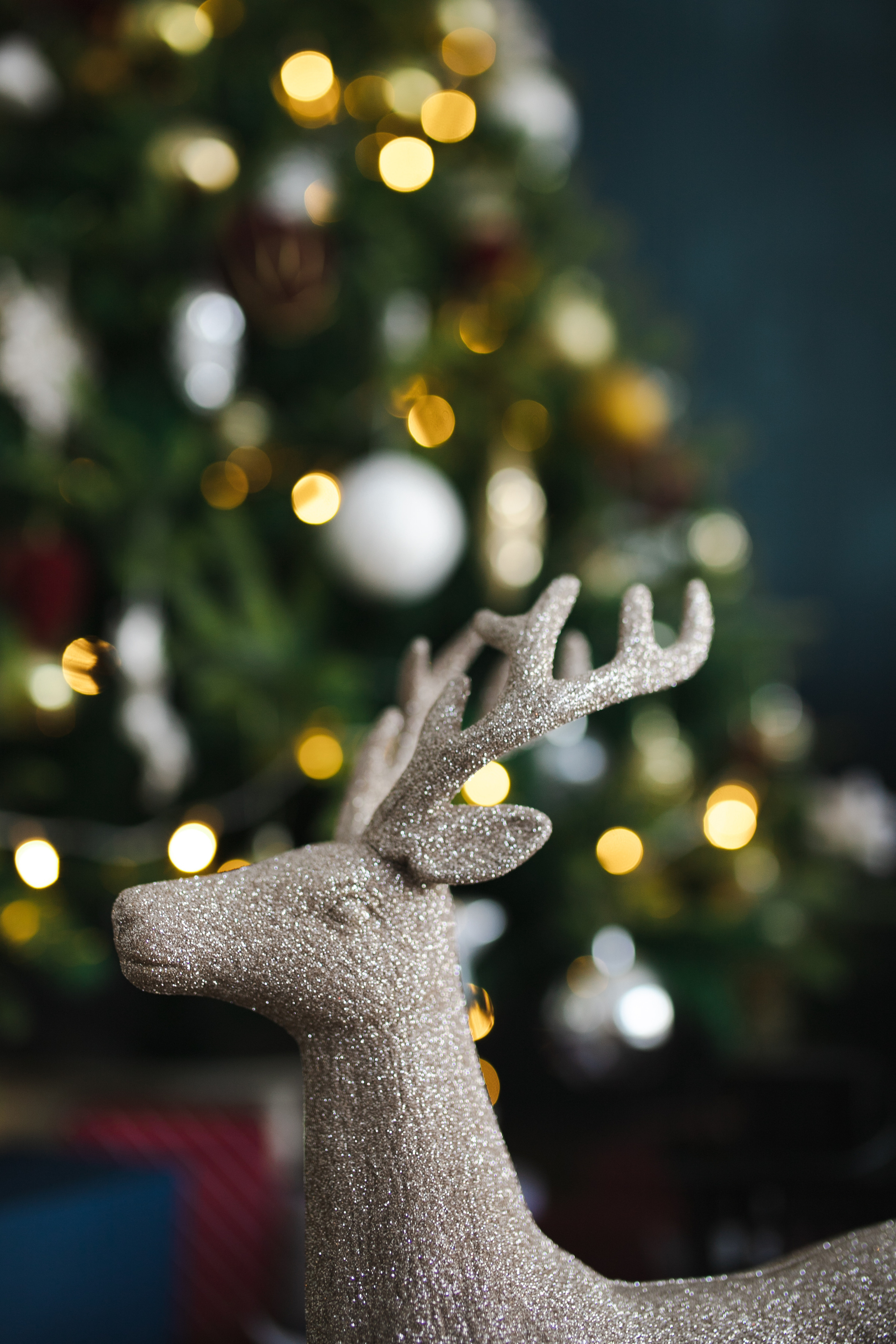 Контент-съемка игрушки. Фотограф в Иркутске Тома Кабанова