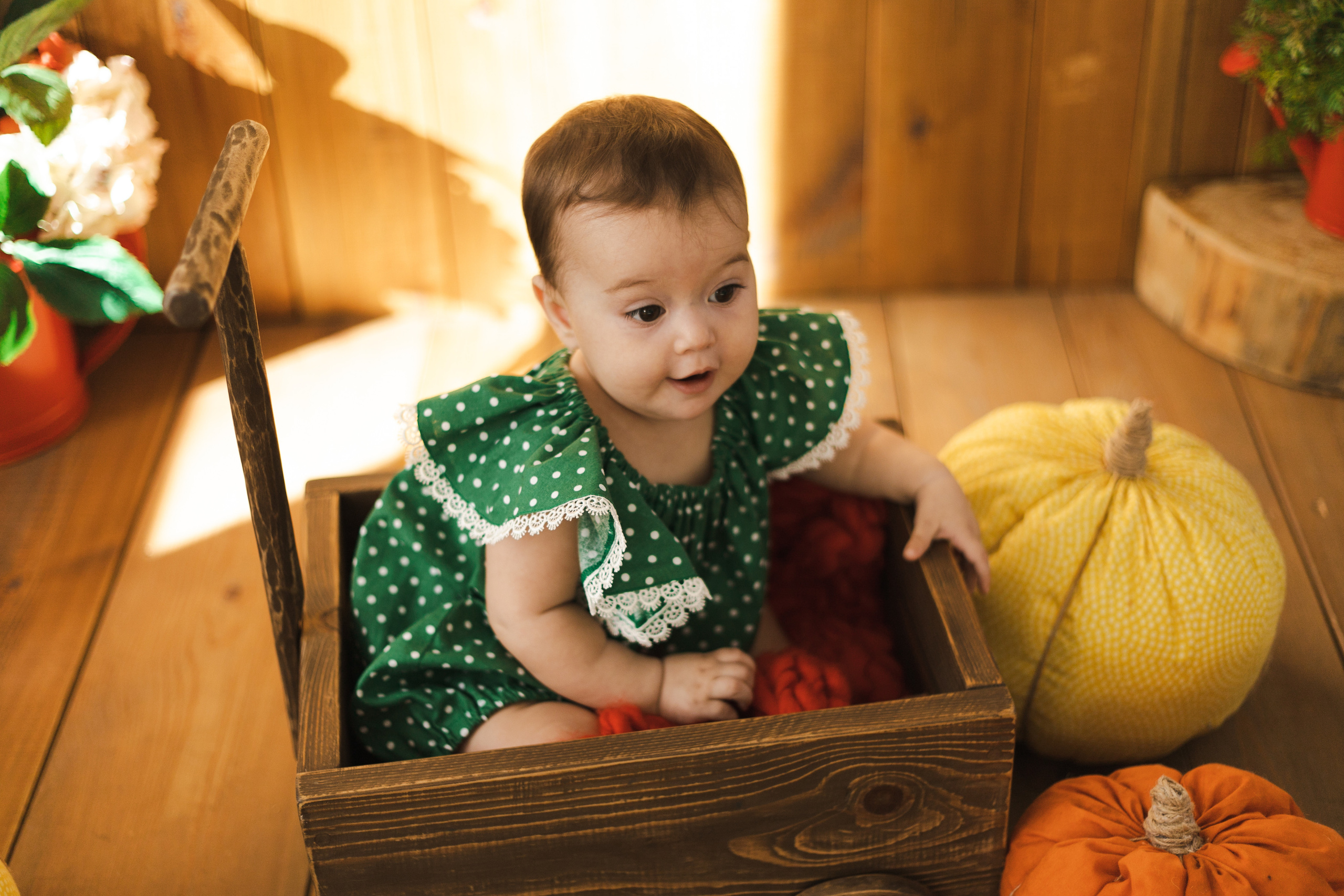 Фотографии для малышей от 6 месяцев. Фотограф в Иркутске Тома Кабанова