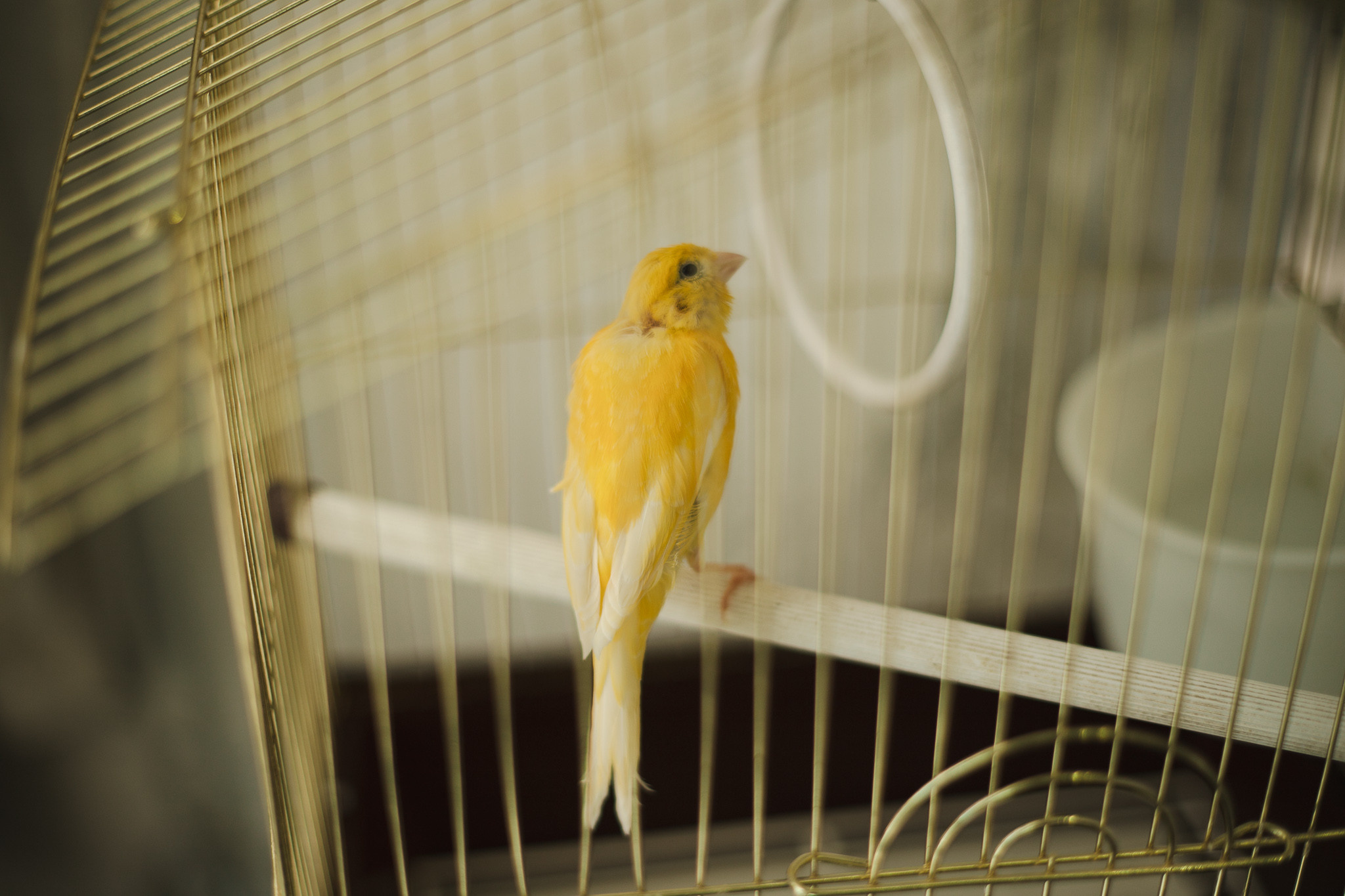 Контент-съемка игрушки. Фотограф в Иркутске Тома Кабанова