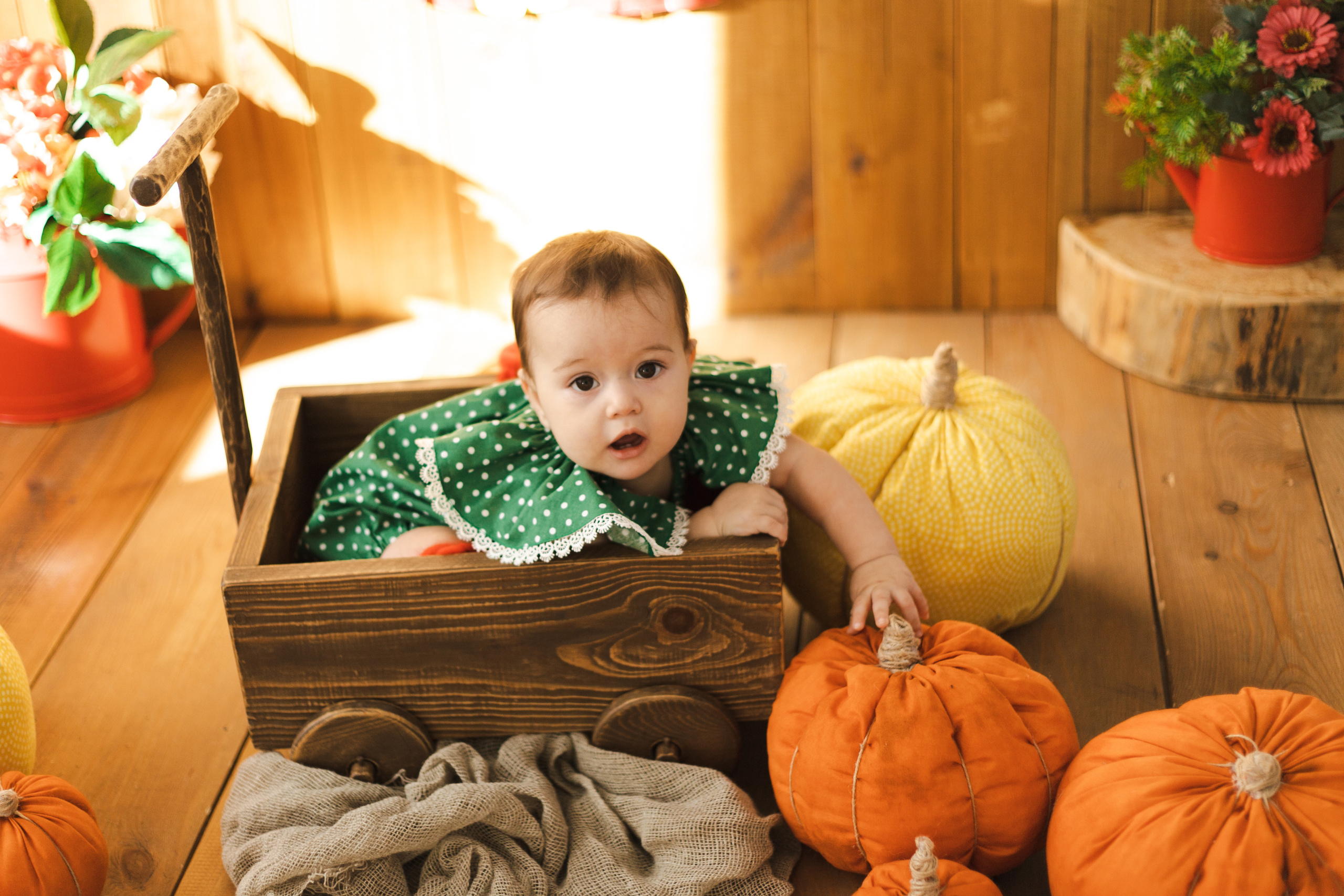 Фотографии для малышей от 6 месяцев. Фотограф в Иркутске Тома Кабанова