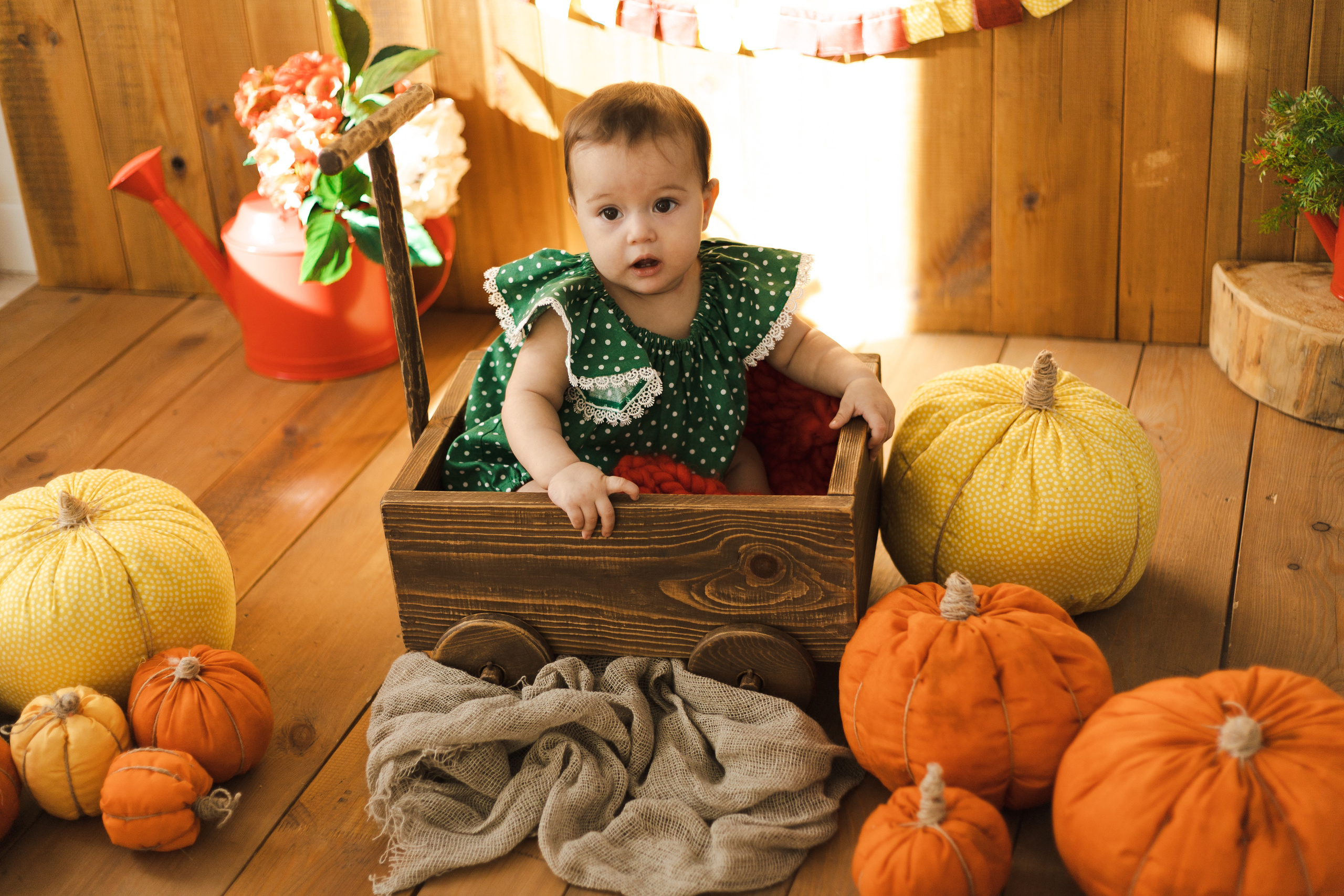 Фотографии для малышей от 6 месяцев. Фотограф в Иркутске Тома Кабанова
