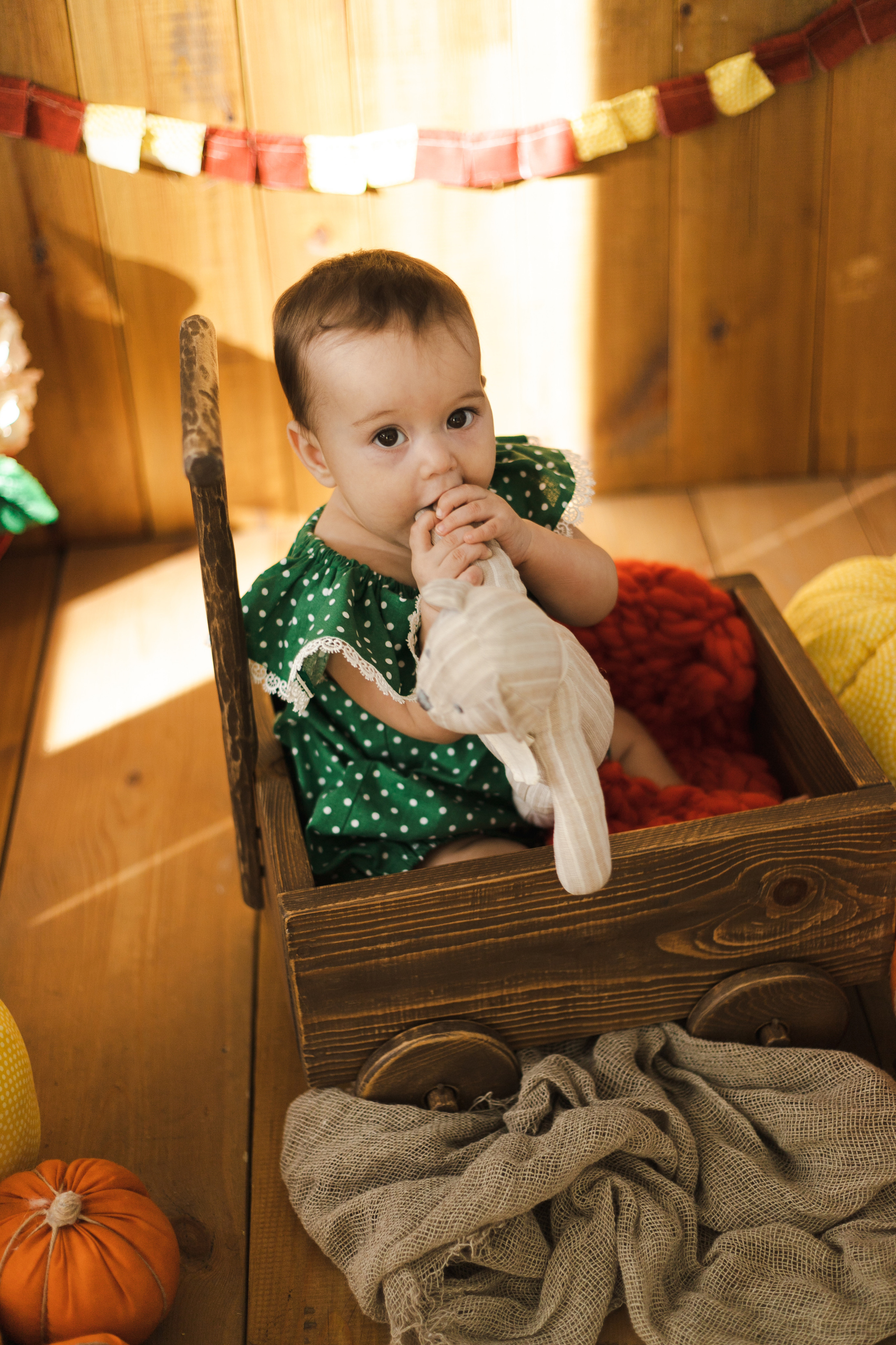 Фотографии для малышей от 6 месяцев. Фотограф в Иркутске Тома Кабанова