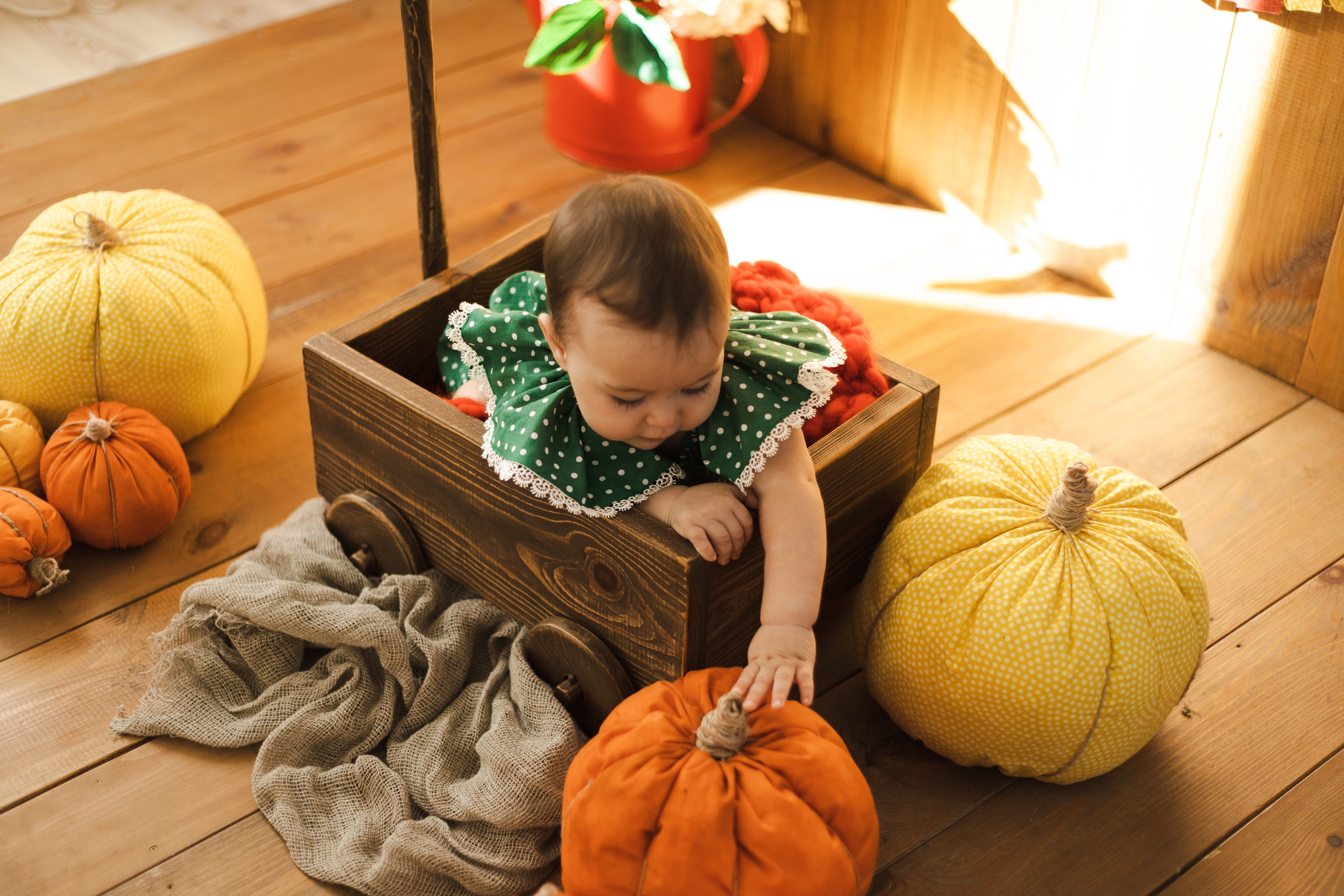 Фотографии для малышей от 6 месяцев. Фотограф в Иркутске Тома Кабанова