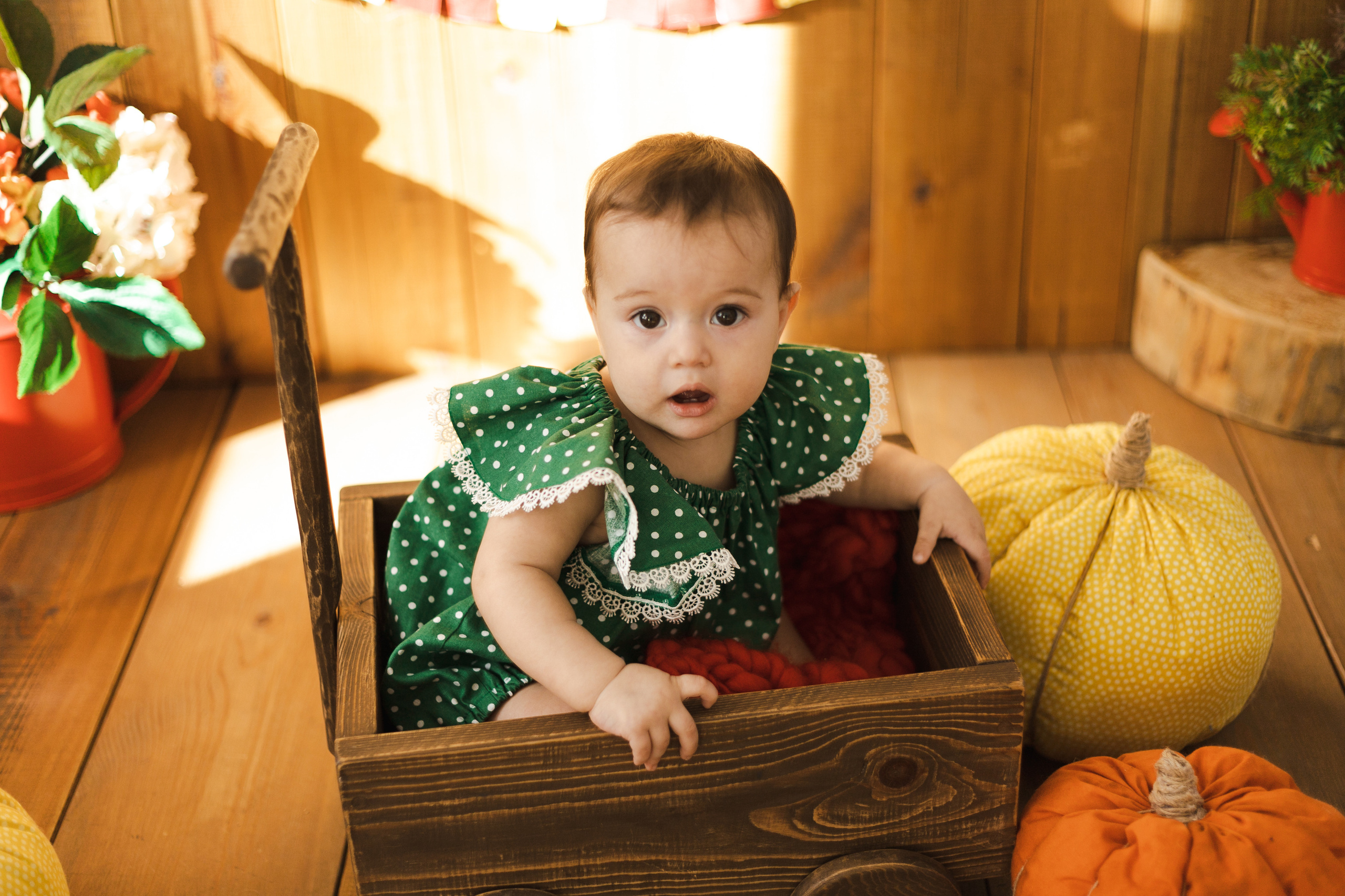 Фотографии для малышей от 6 месяцев. Фотограф в Иркутске Тома Кабанова