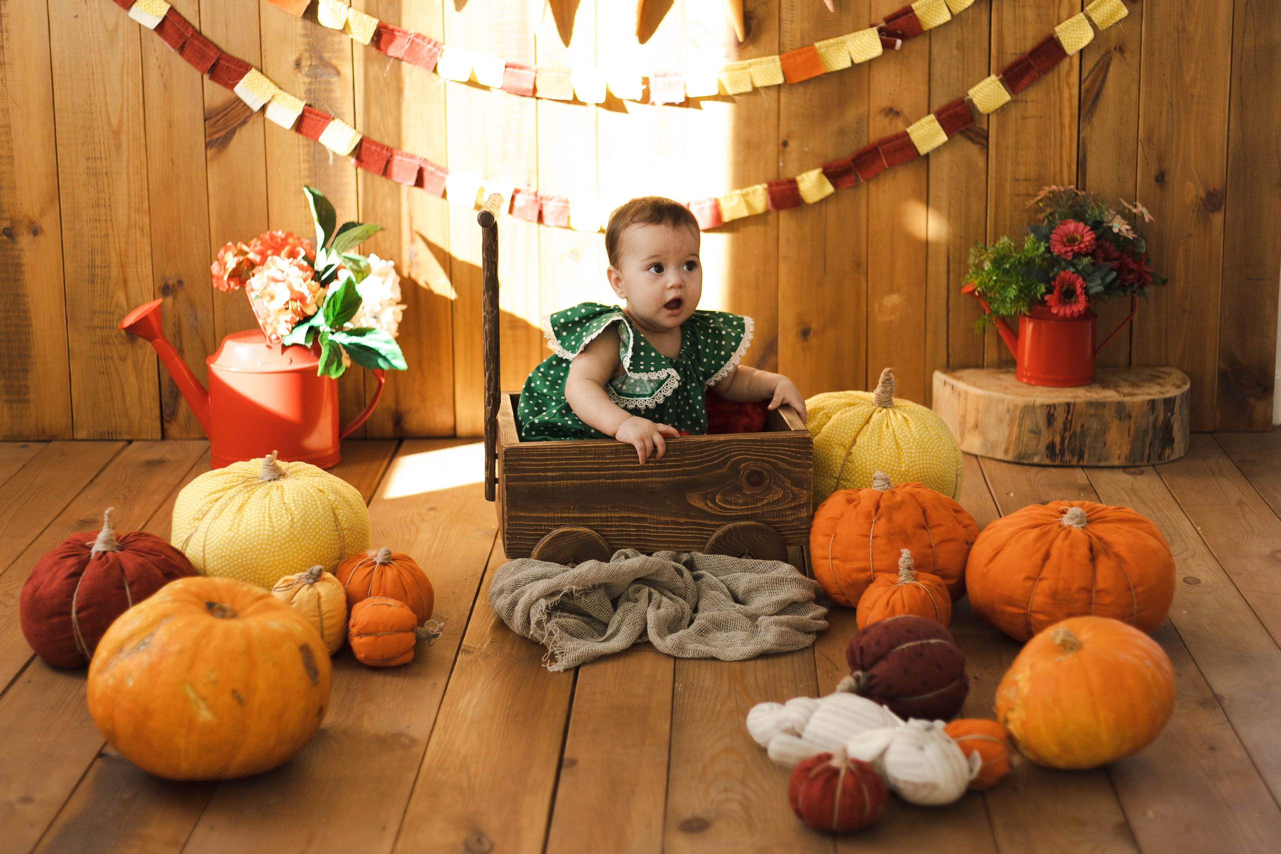 Фотографии для малышей от 6 месяцев. Фотограф в Иркутске Тома Кабанова