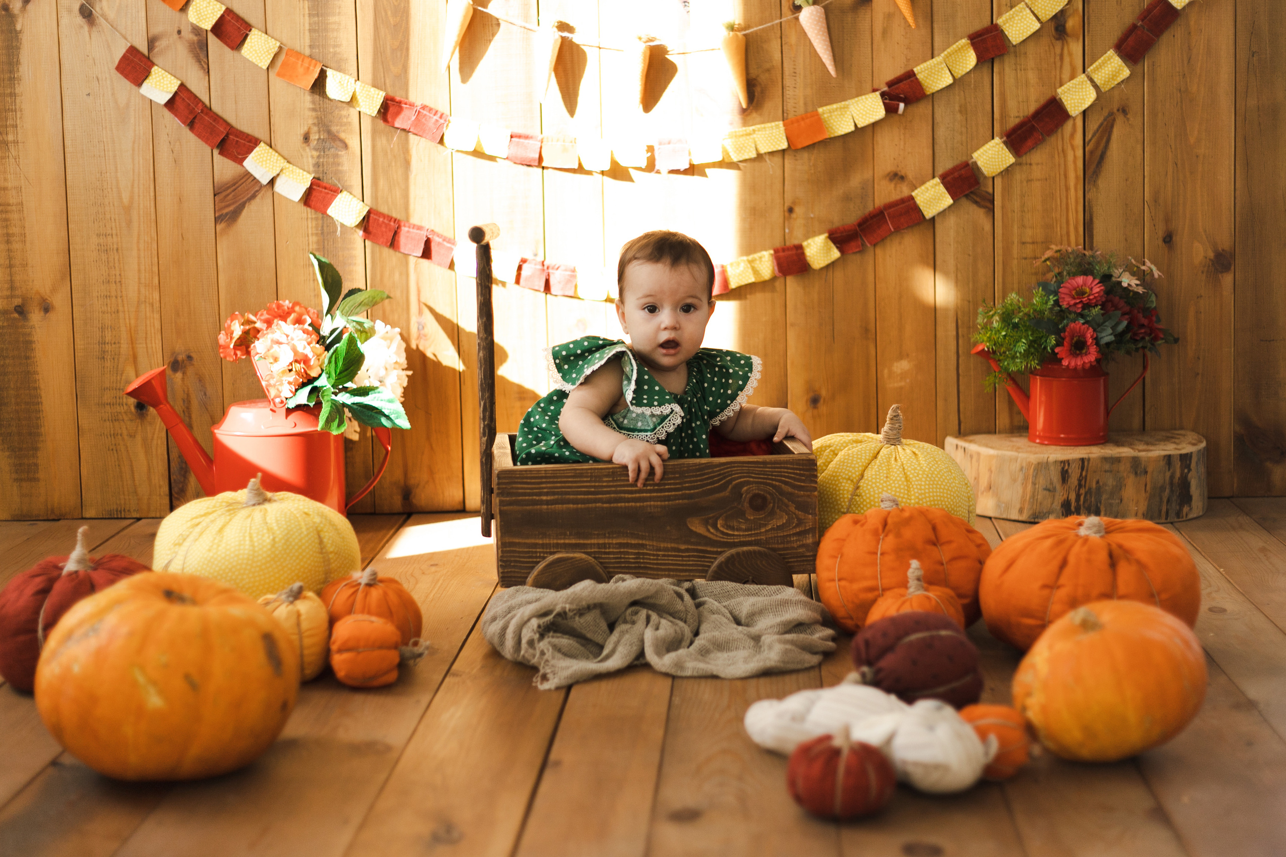 Фотографии для малышей от 6 месяцев. Фотограф в Иркутске Тома Кабанова