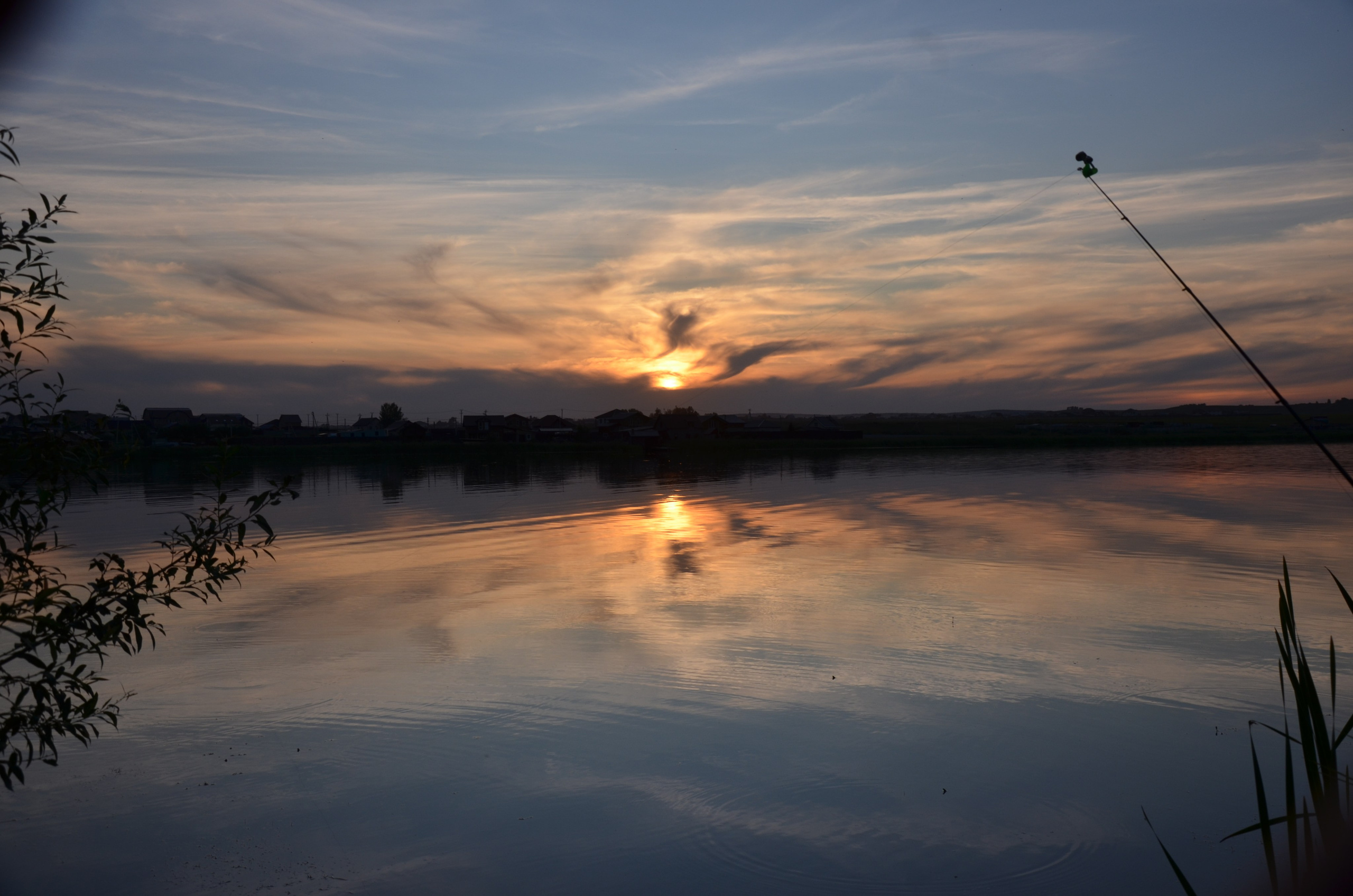 Дары природы. Фотограф viktor viktor