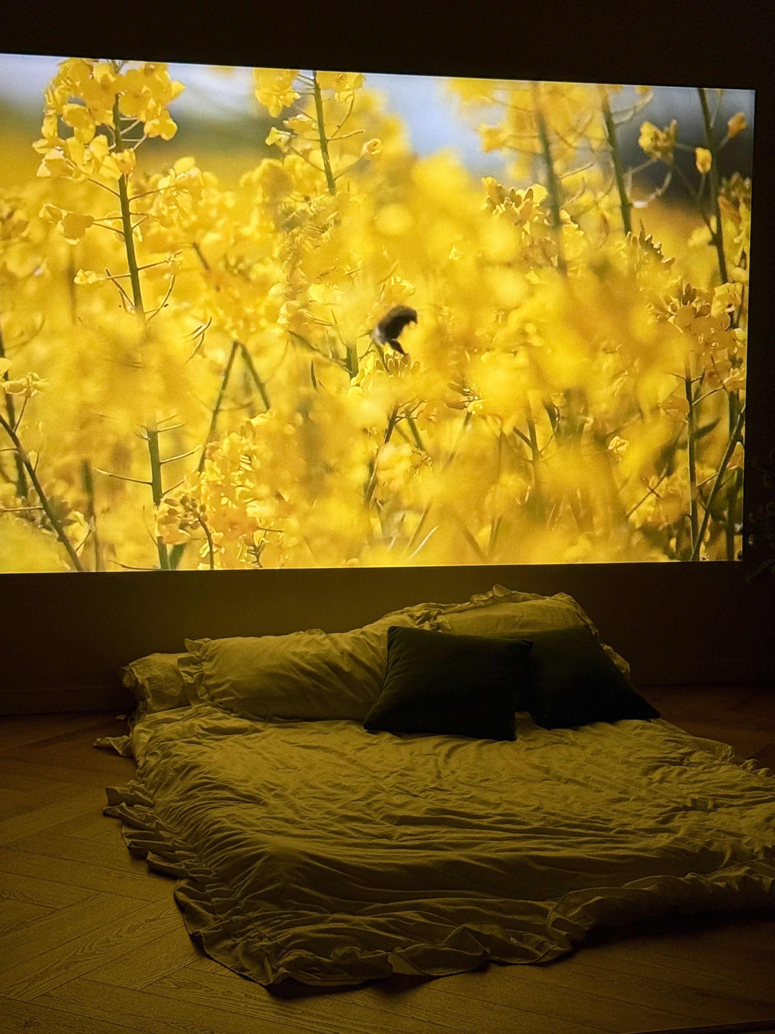 Оборудование. АУРА Фотостудия в Нижнем Новгороде