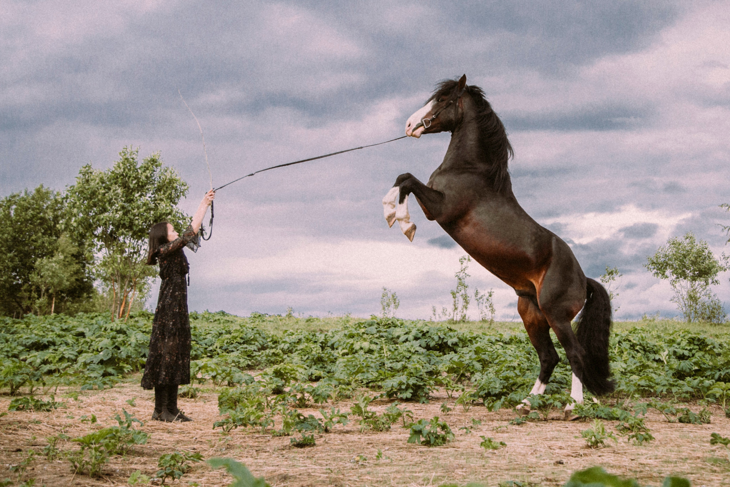 Фотограф и видеограф в Санкт-Петербурге Прохорова Надежда