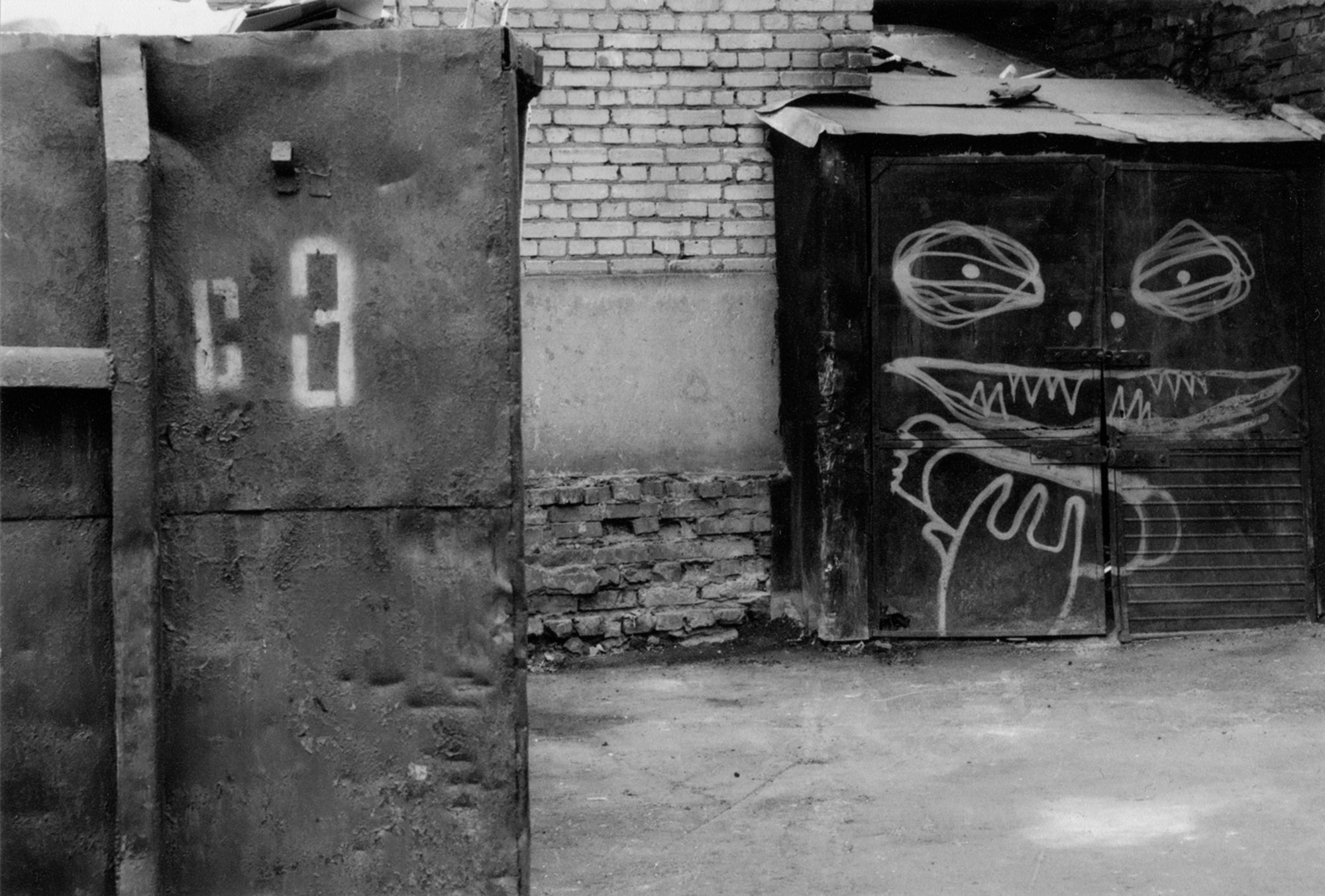 Art Series. Елена Цихон художник фотографии и мастер фото-ДНК