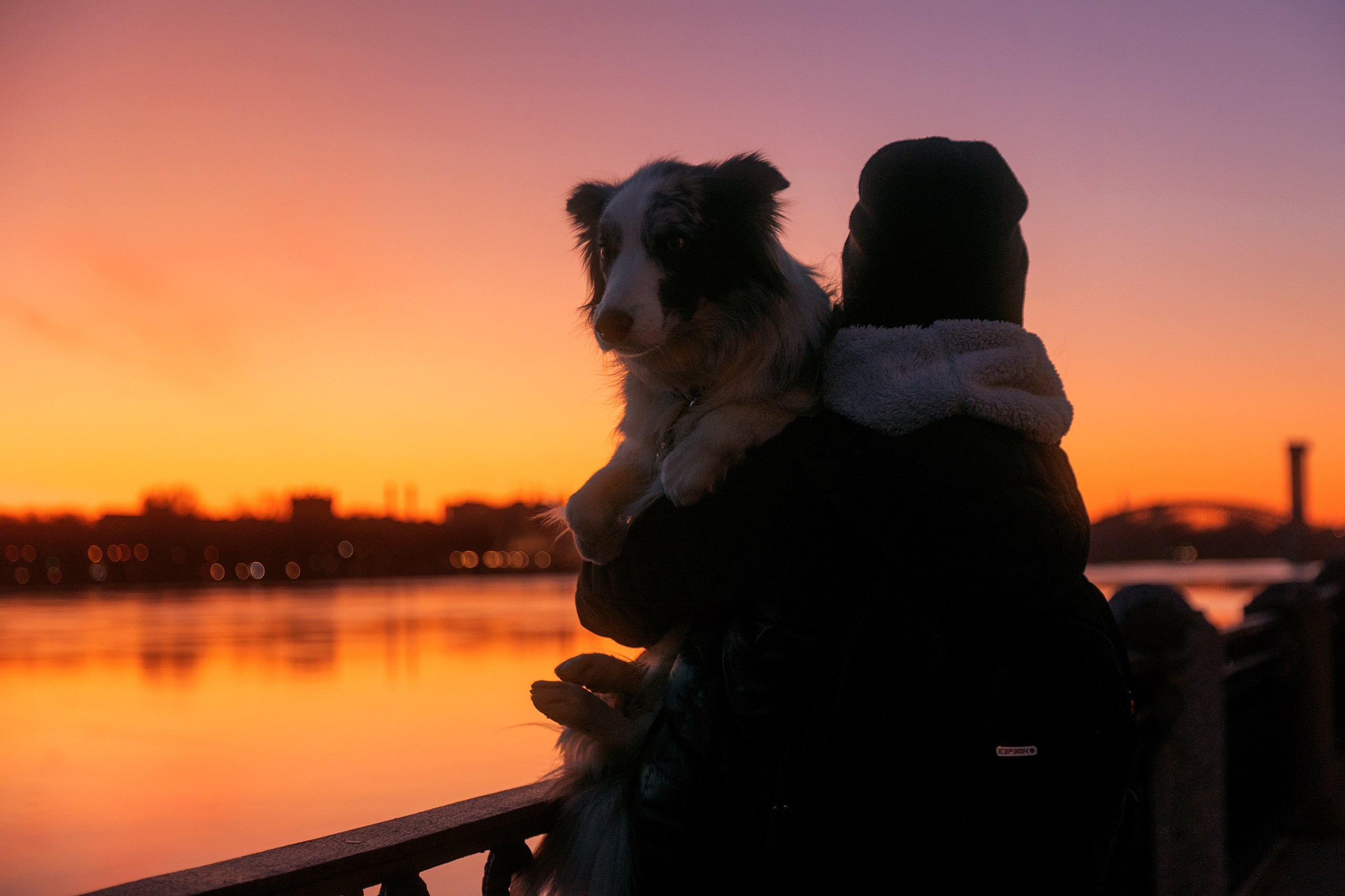 Набережная невы. Фотограф анималист Никита Натальный