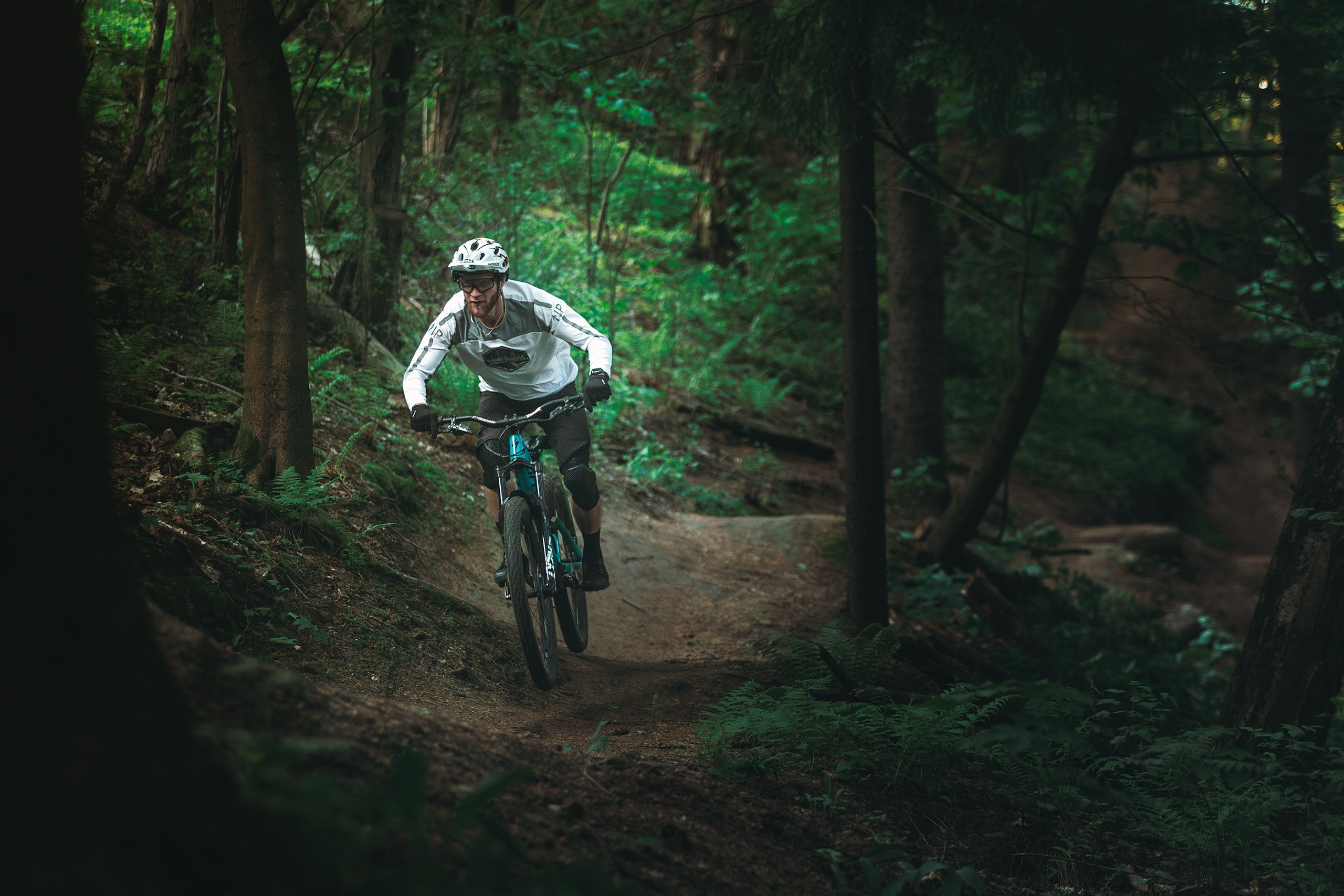 Саша и Ваня. Фотограф анималист Никита Натальный