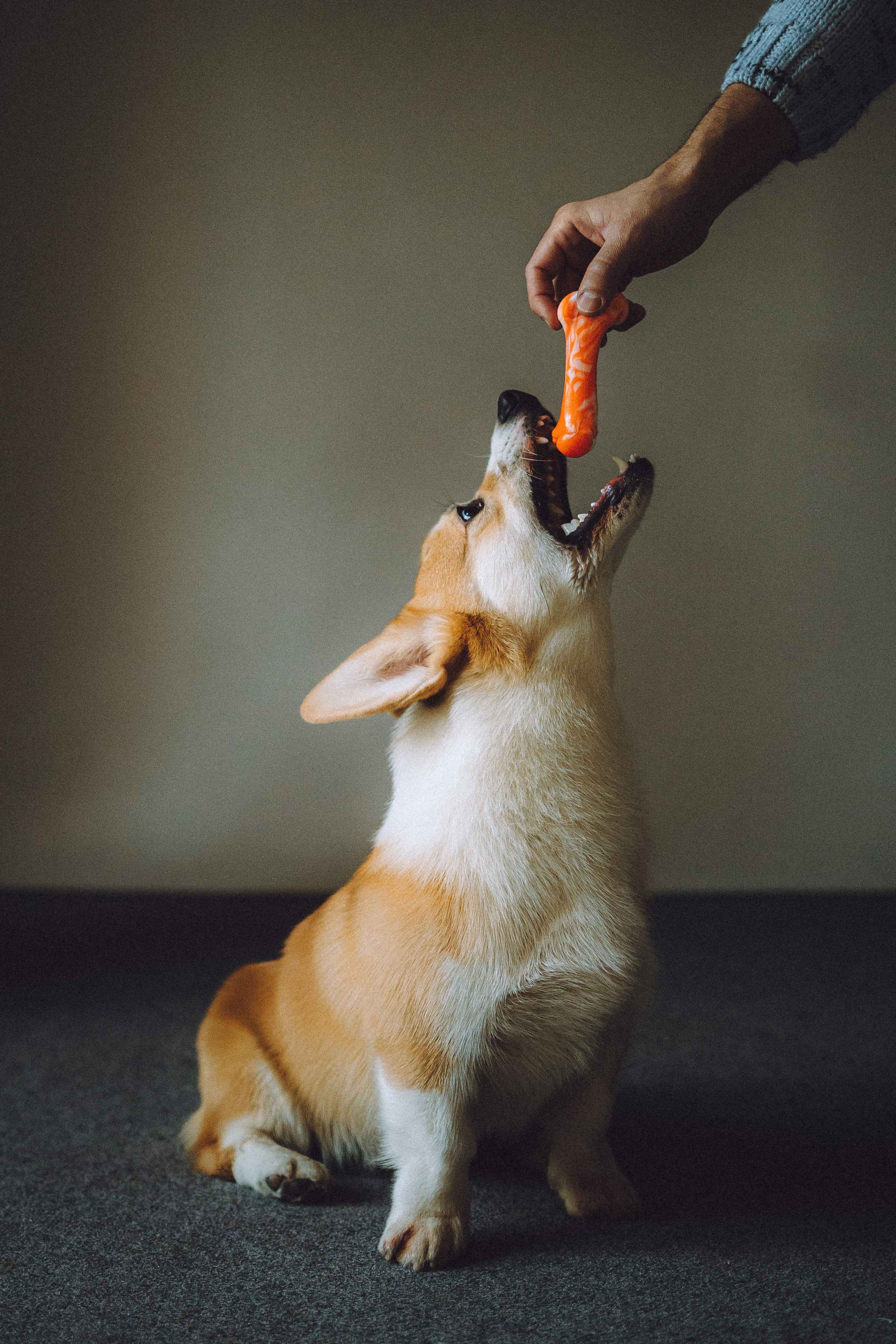 Наталья, Евгений и Мерлин