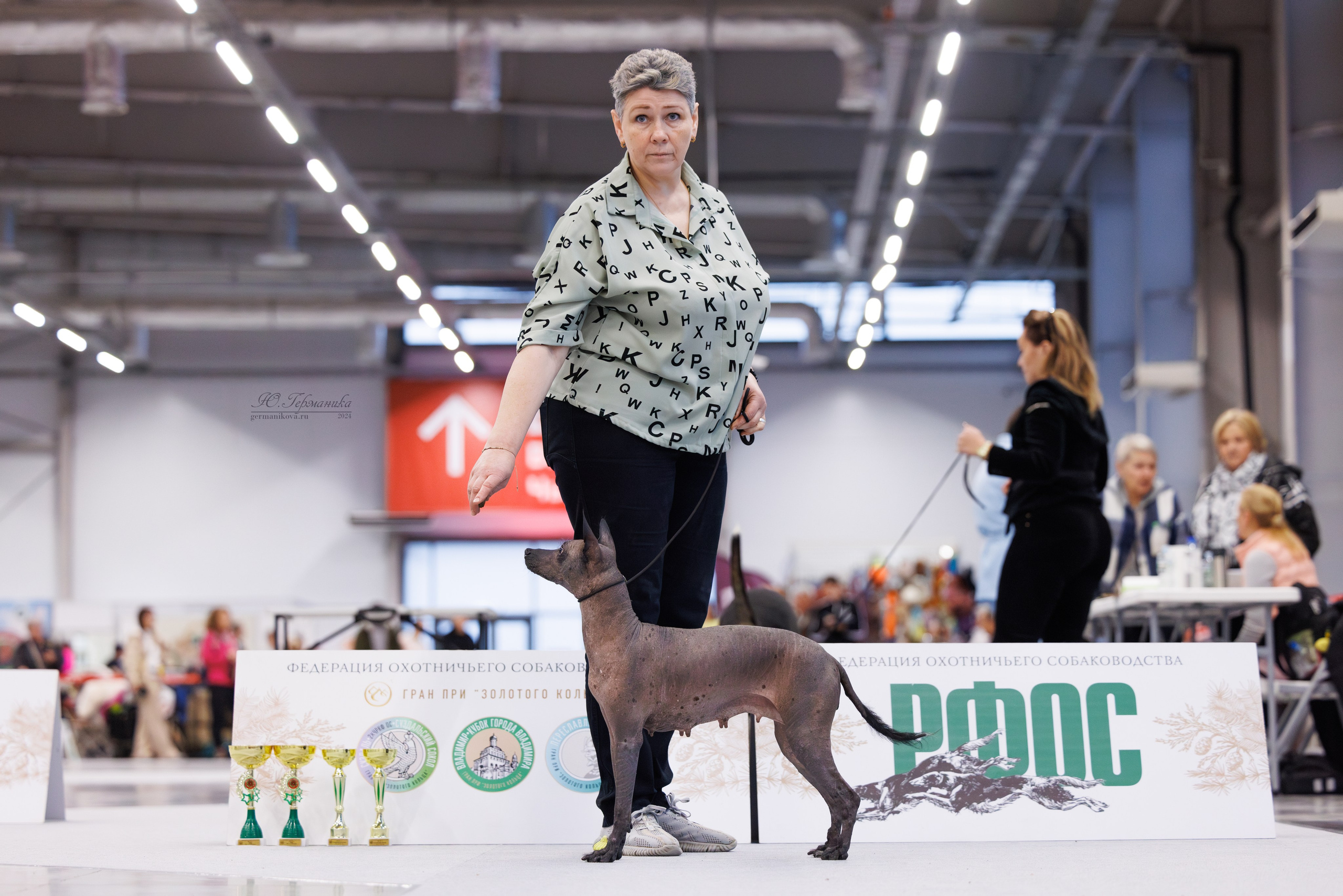 Казань Зилант 30-01.12 2024. Фотограф-анималист Юлия Германика