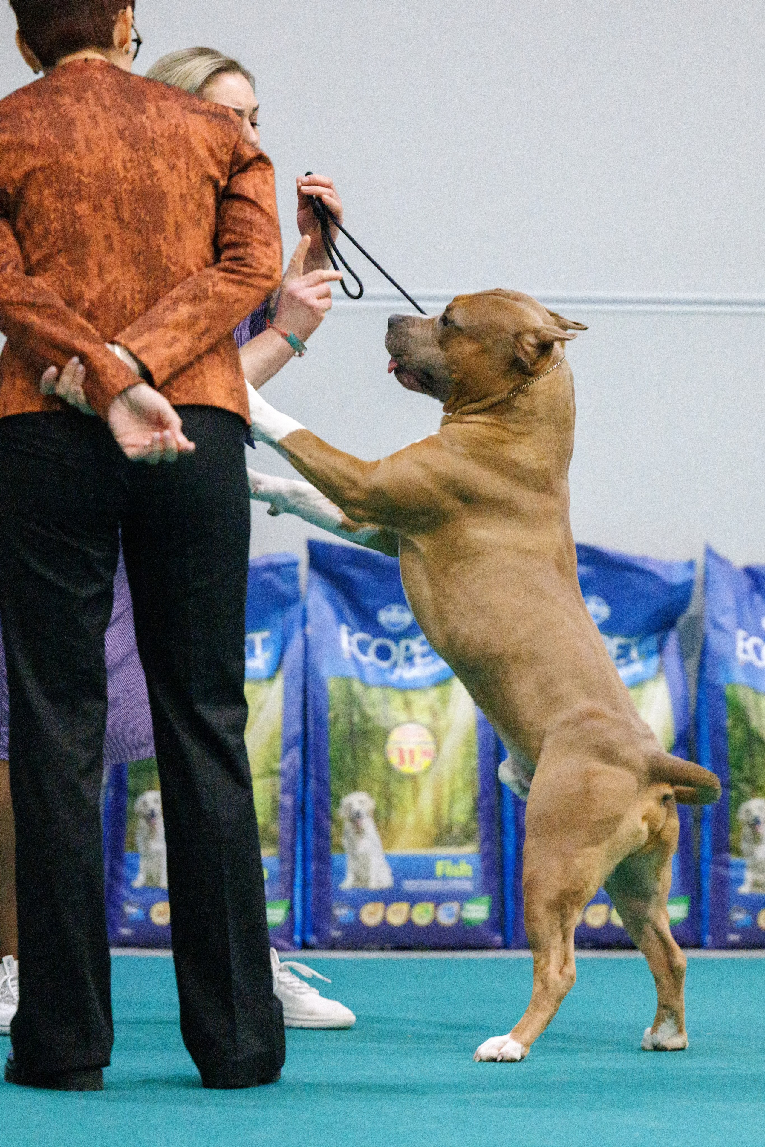 Крокус 10.02,Сфера 11.02.2024. Фотограф-анималист Юлия Германика