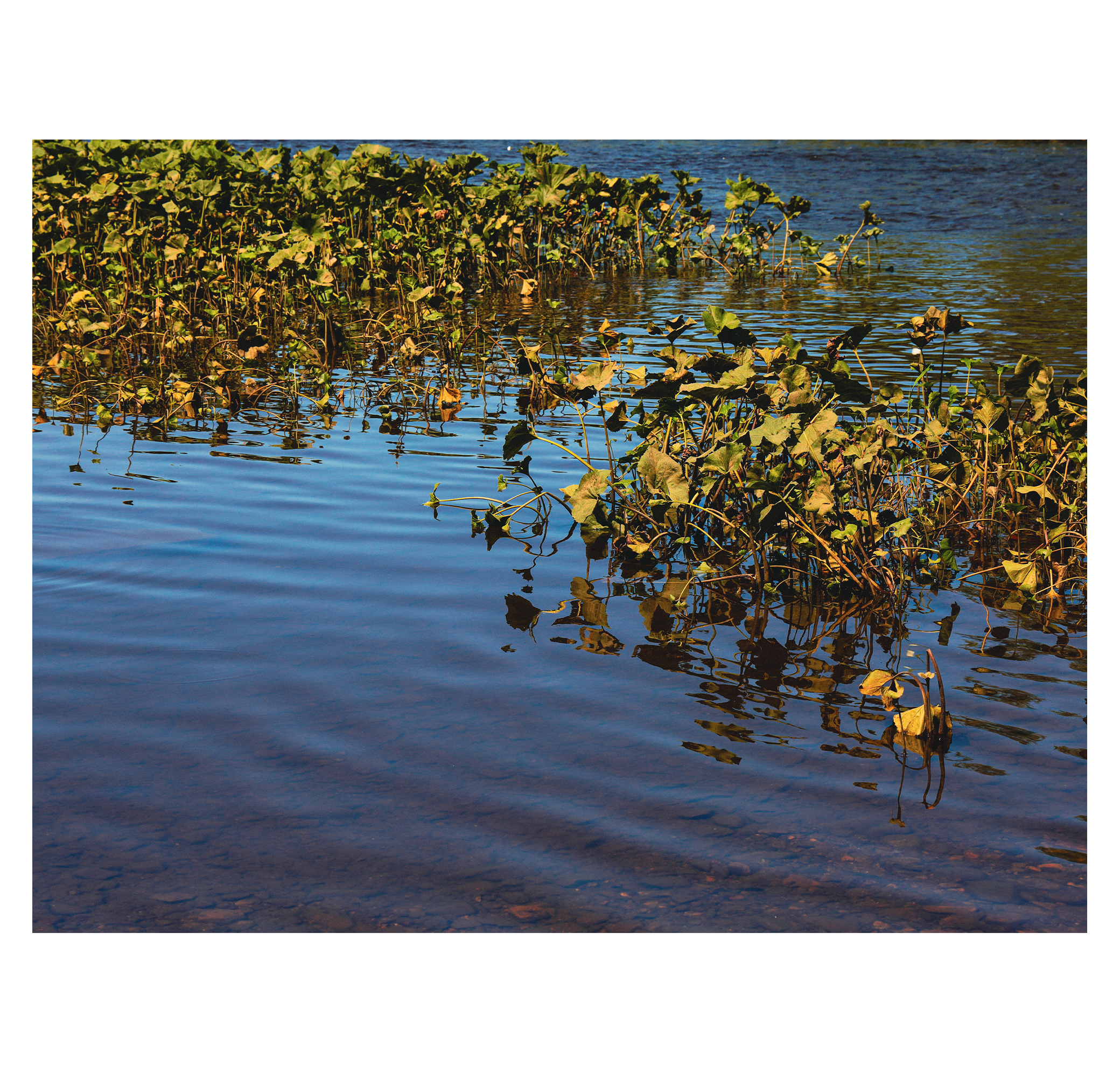 Summer hike. Фотограф/дизайнер в Екатеринбурге Хитрый Дмитрий