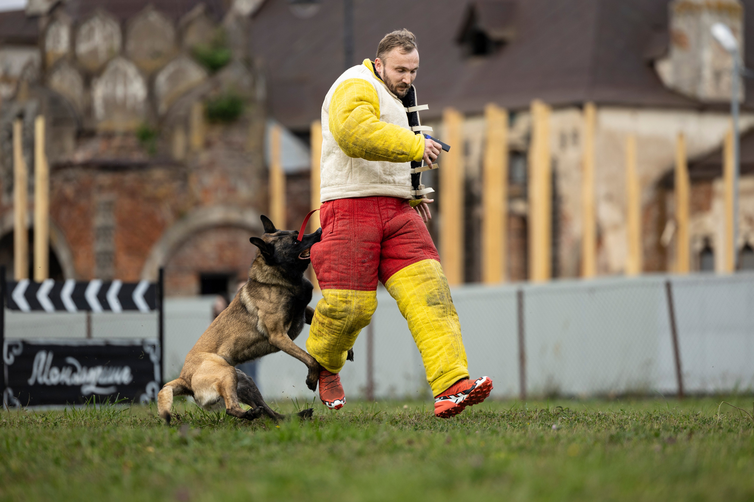 Испытания по Мондьорингу г. Пушкин. Фотограф-анималист Анна Маринич