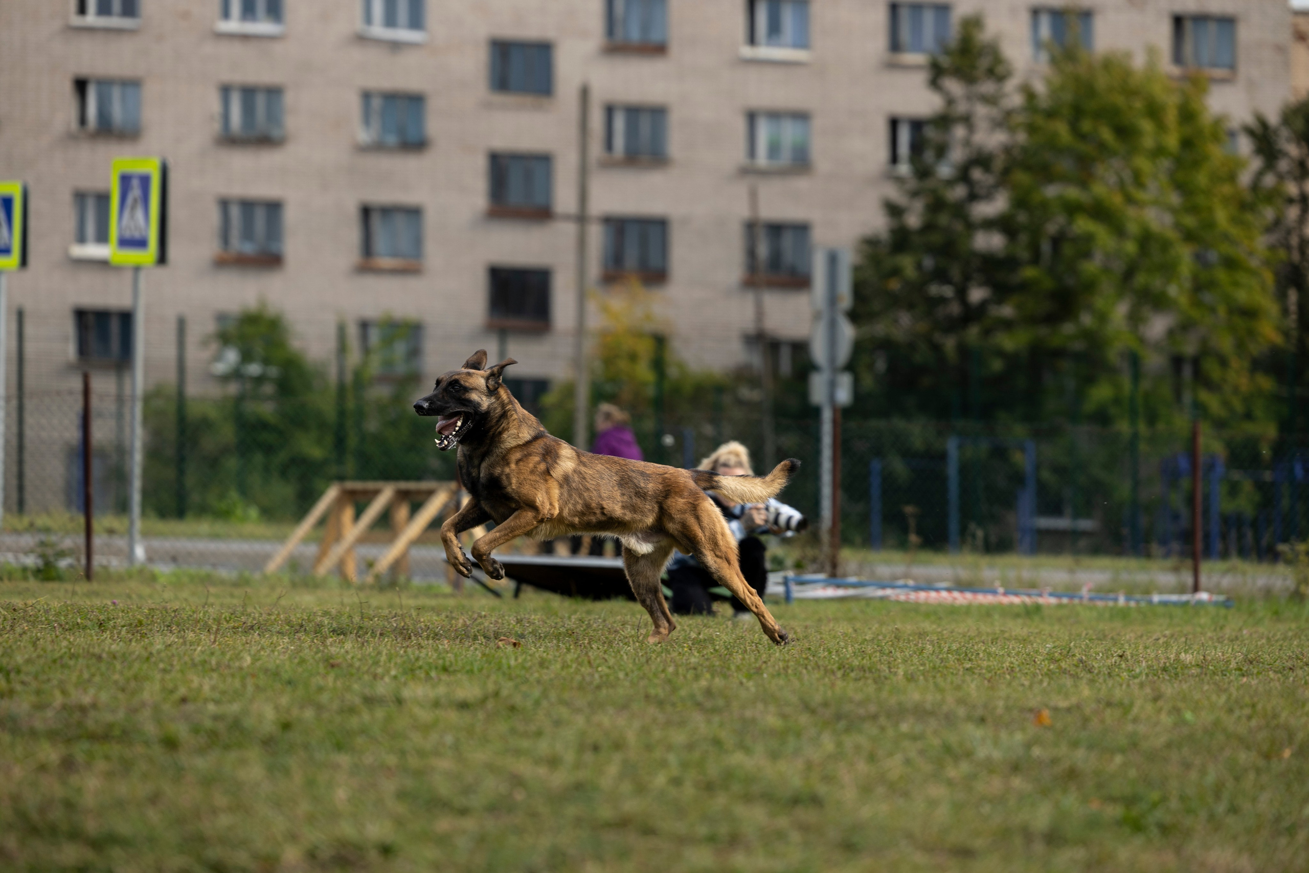Испытания по Мондьорингу г. Пушкин. Фотограф-анималист Анна Маринич