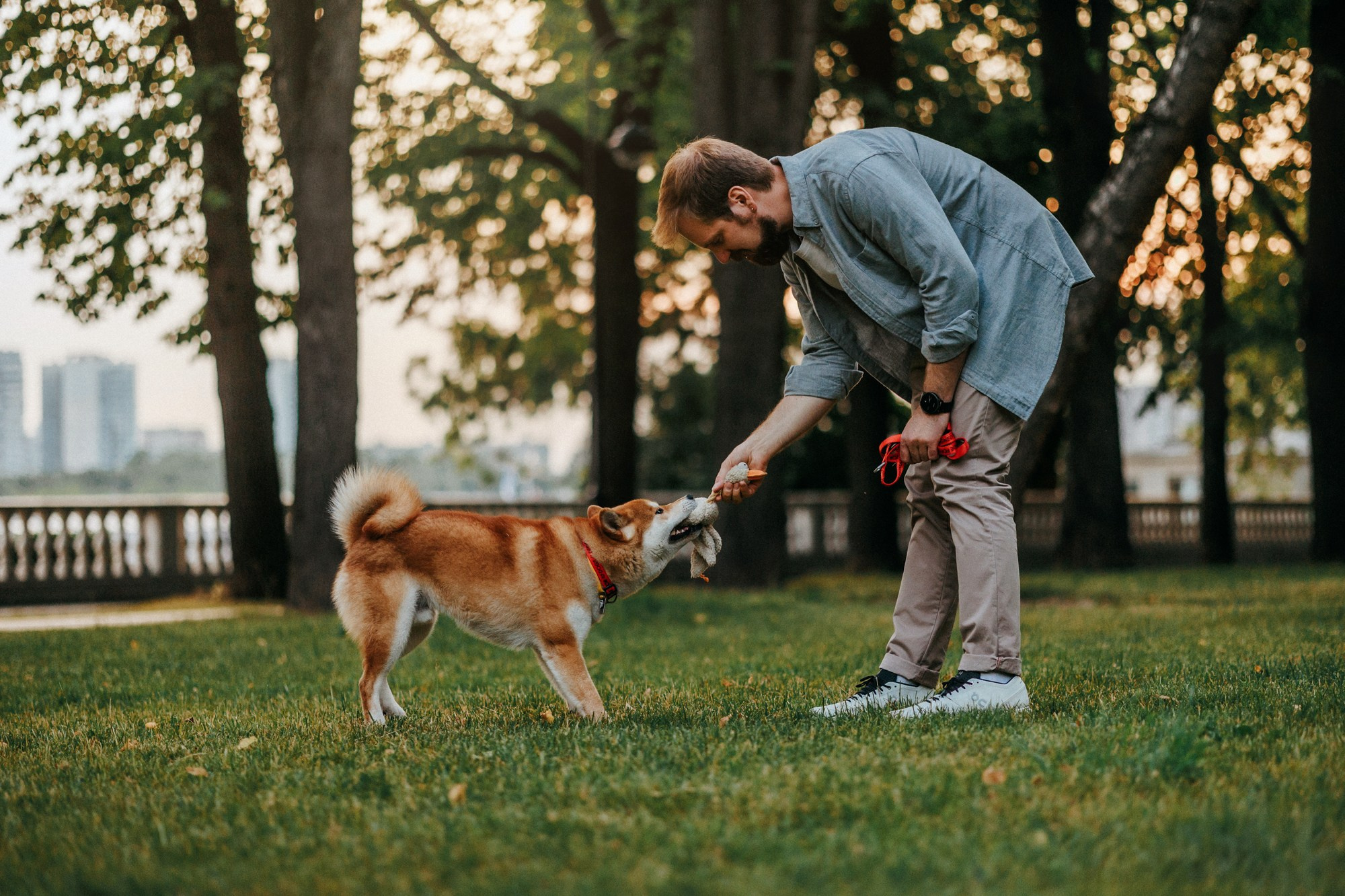 Аня, Влад и Ики. Фотограф-анималист Елена Радченко, Москва