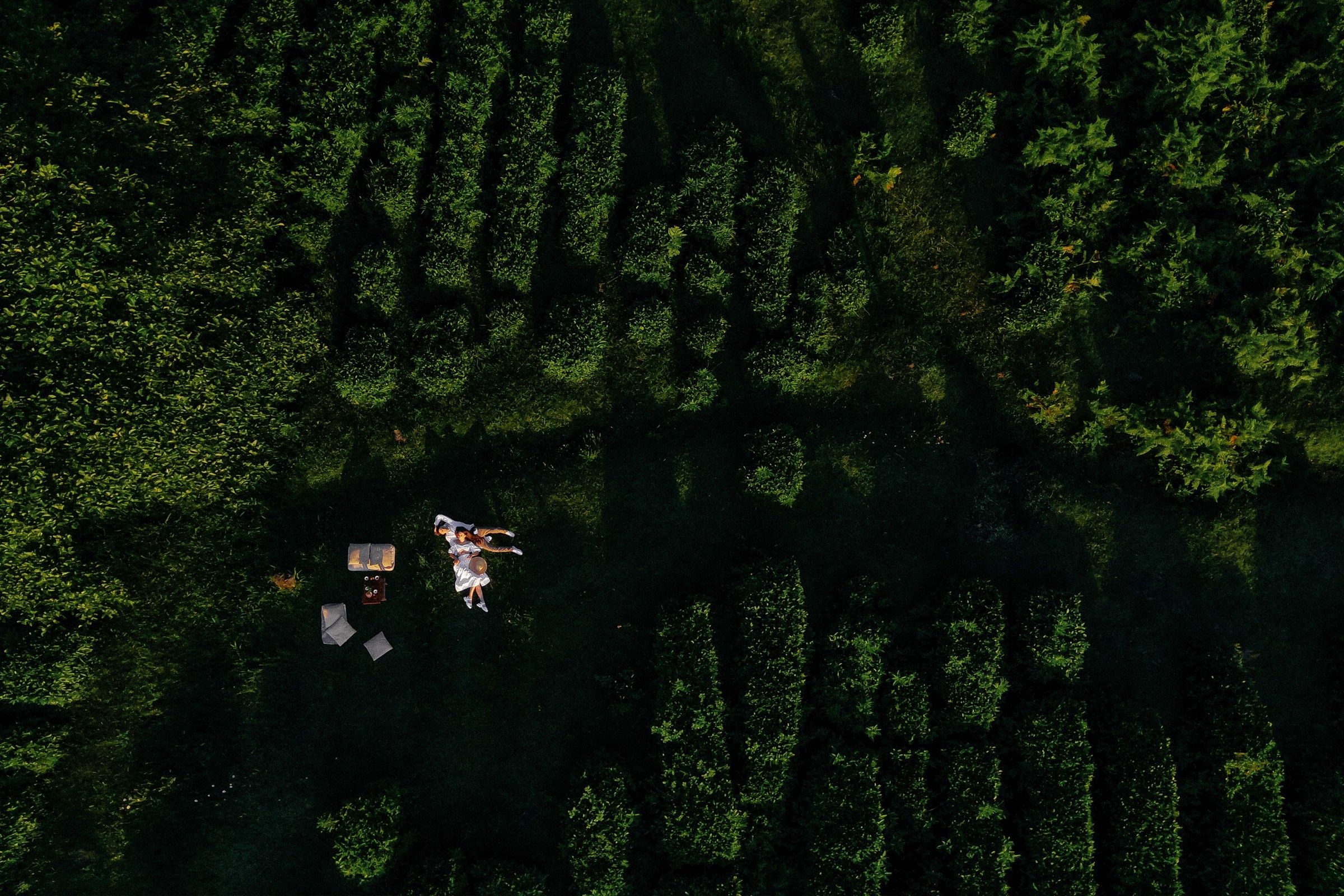 Он, она и слоны. Свадебный фотограф в Ростове-на-Дону
