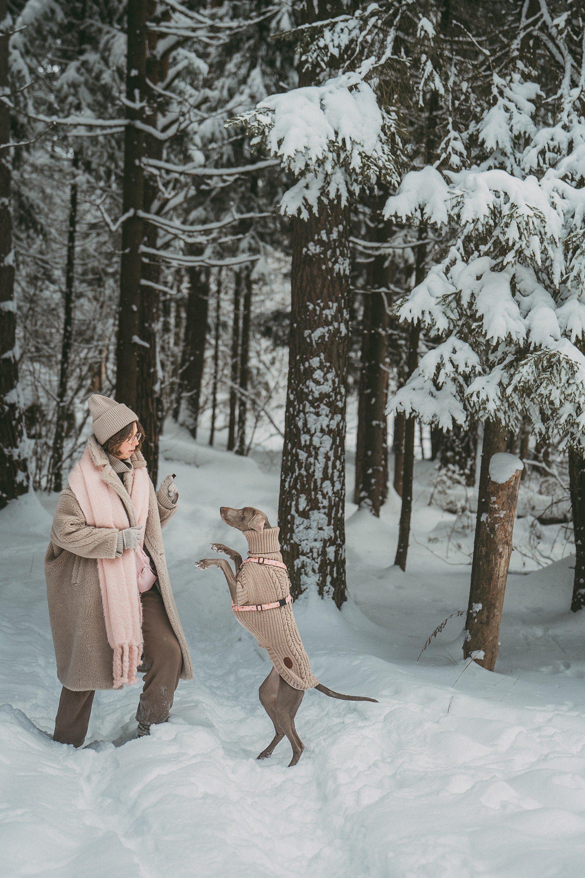 Лена и Фанни. Фотограф анималист в Москве и Санкт-Петербурге Свиридова Анна