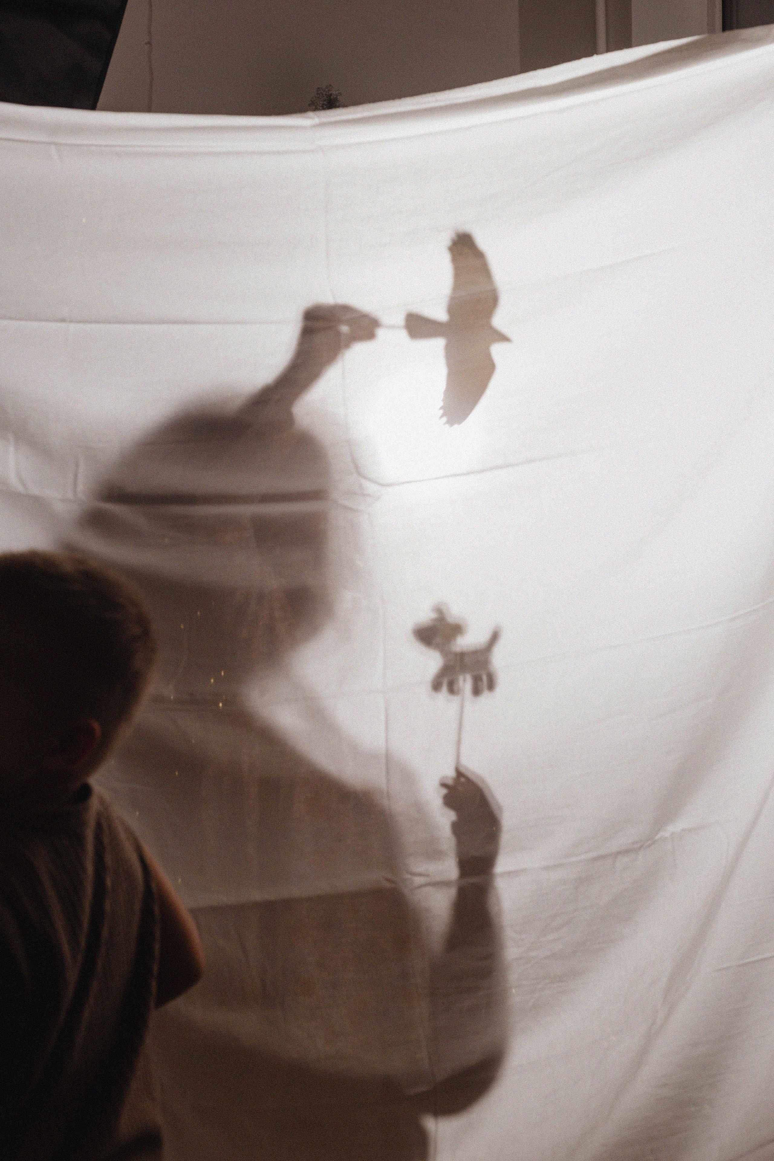 Предновогодние чудеса. Антонина, Саша и Никита. Фотограф в Ростове-на-Дону и Краснодаре Елизавета Киселёва