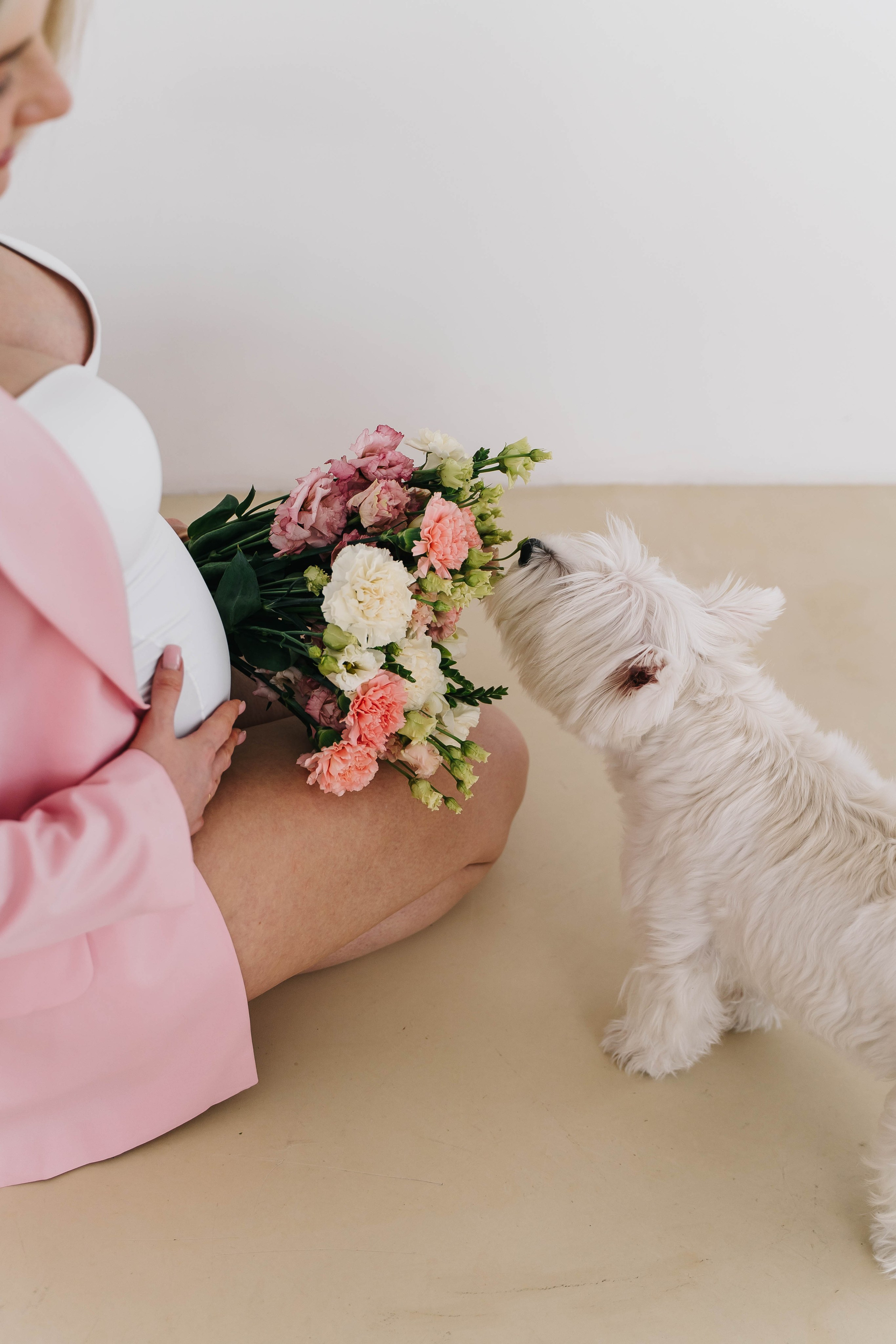 |Катя и Сережа|