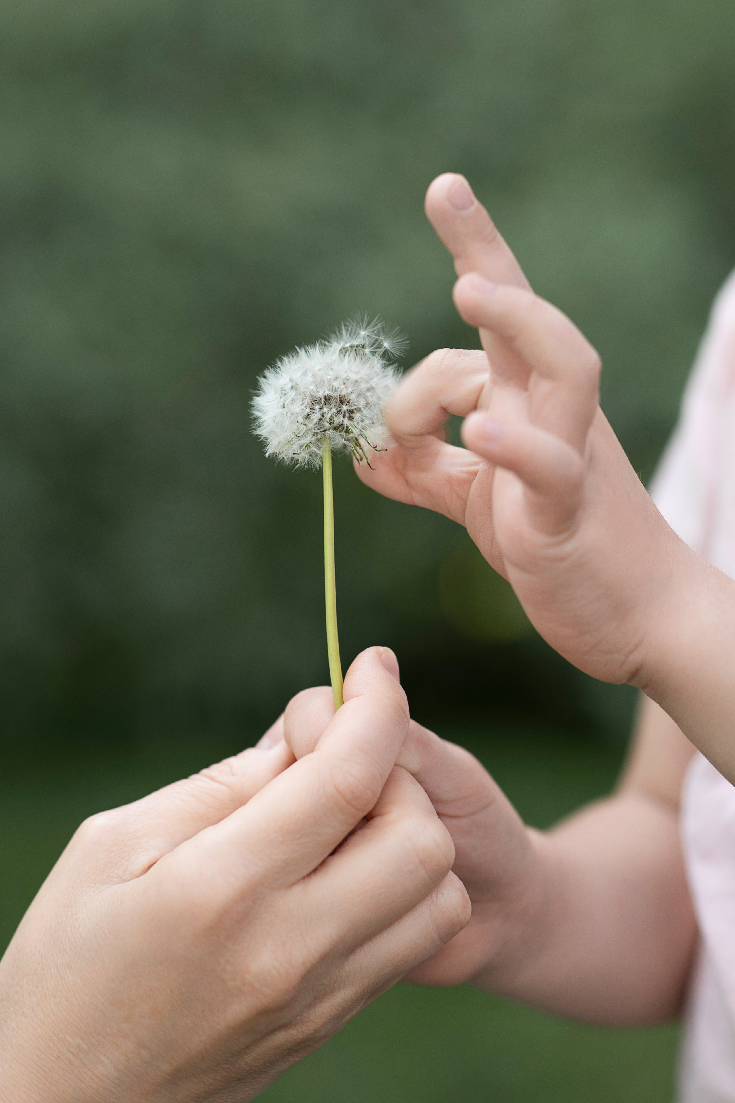 Алёна и Даня. Семейный и школьный фотограф Катерина Голубева