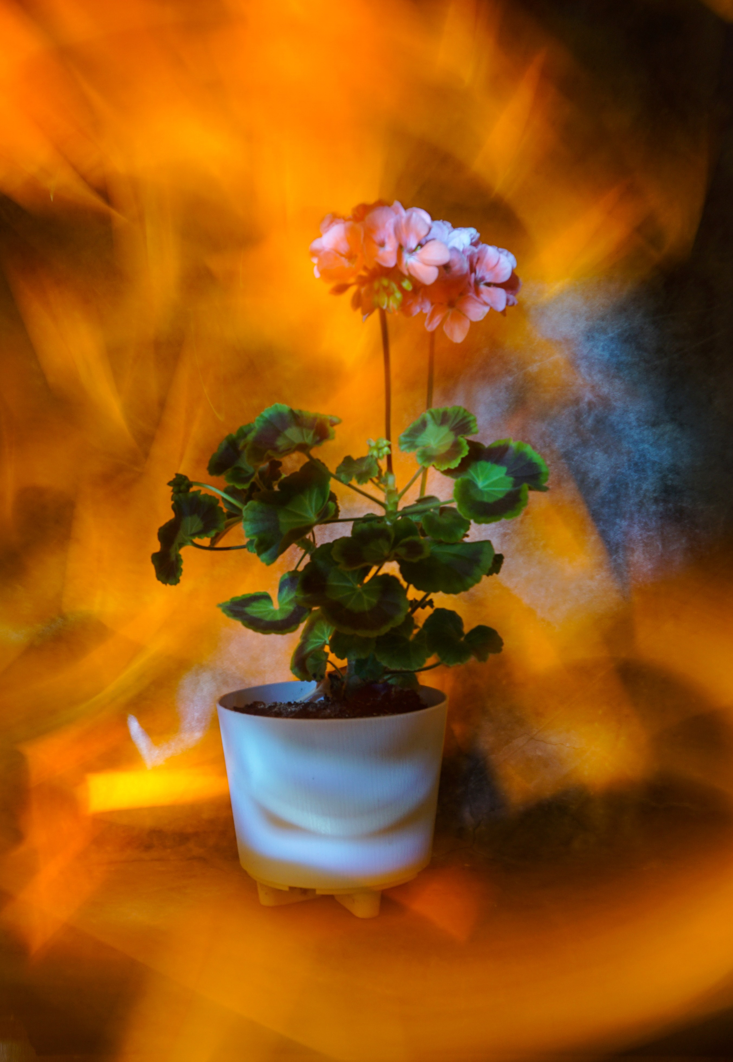 Светопись. Фотохудожник Татьяна Бойцова