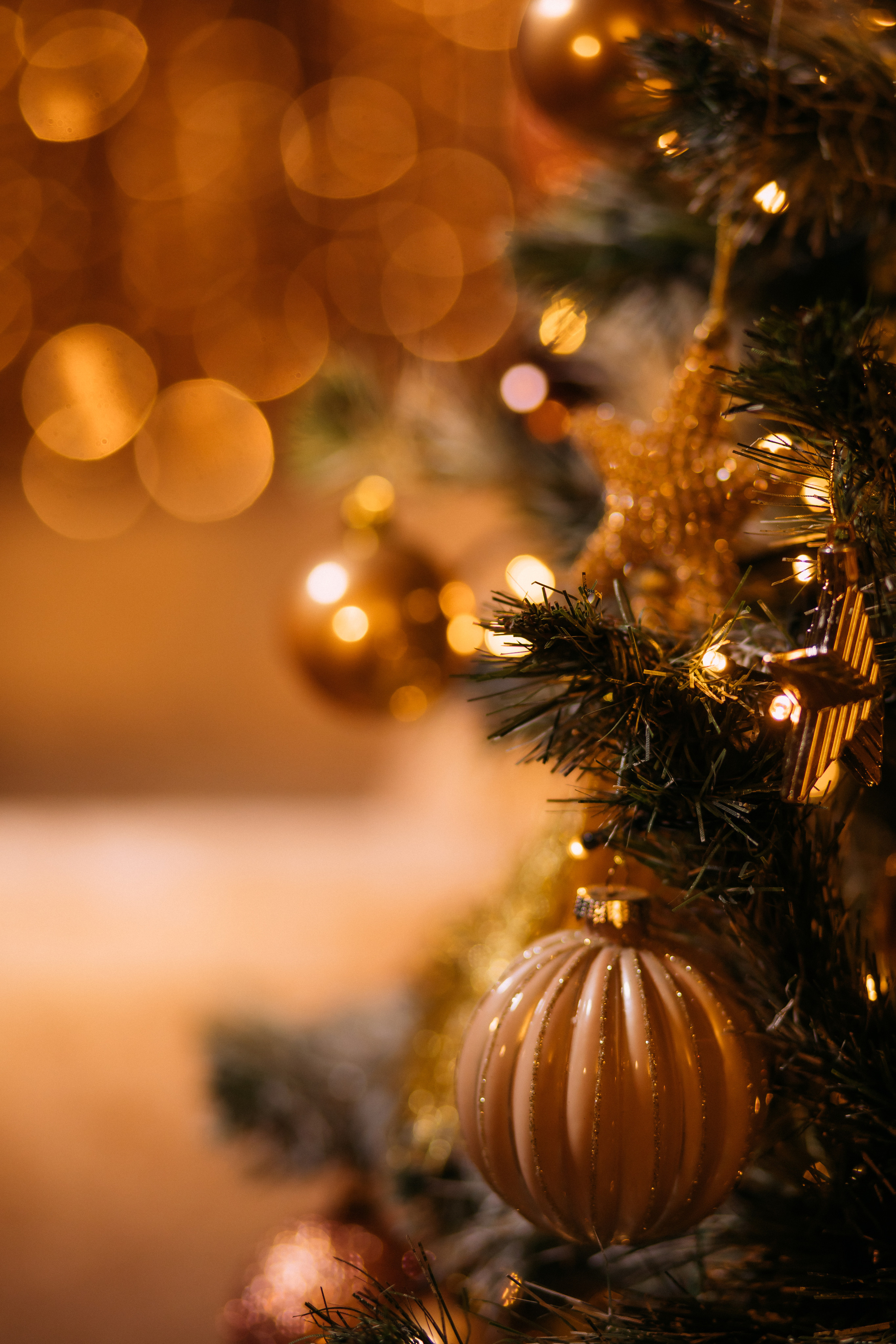 МОЯ НОВОГОДНЯЯ СТУДИЯ. 2018-2025. Женский и семейный фотограф Елена Петрова