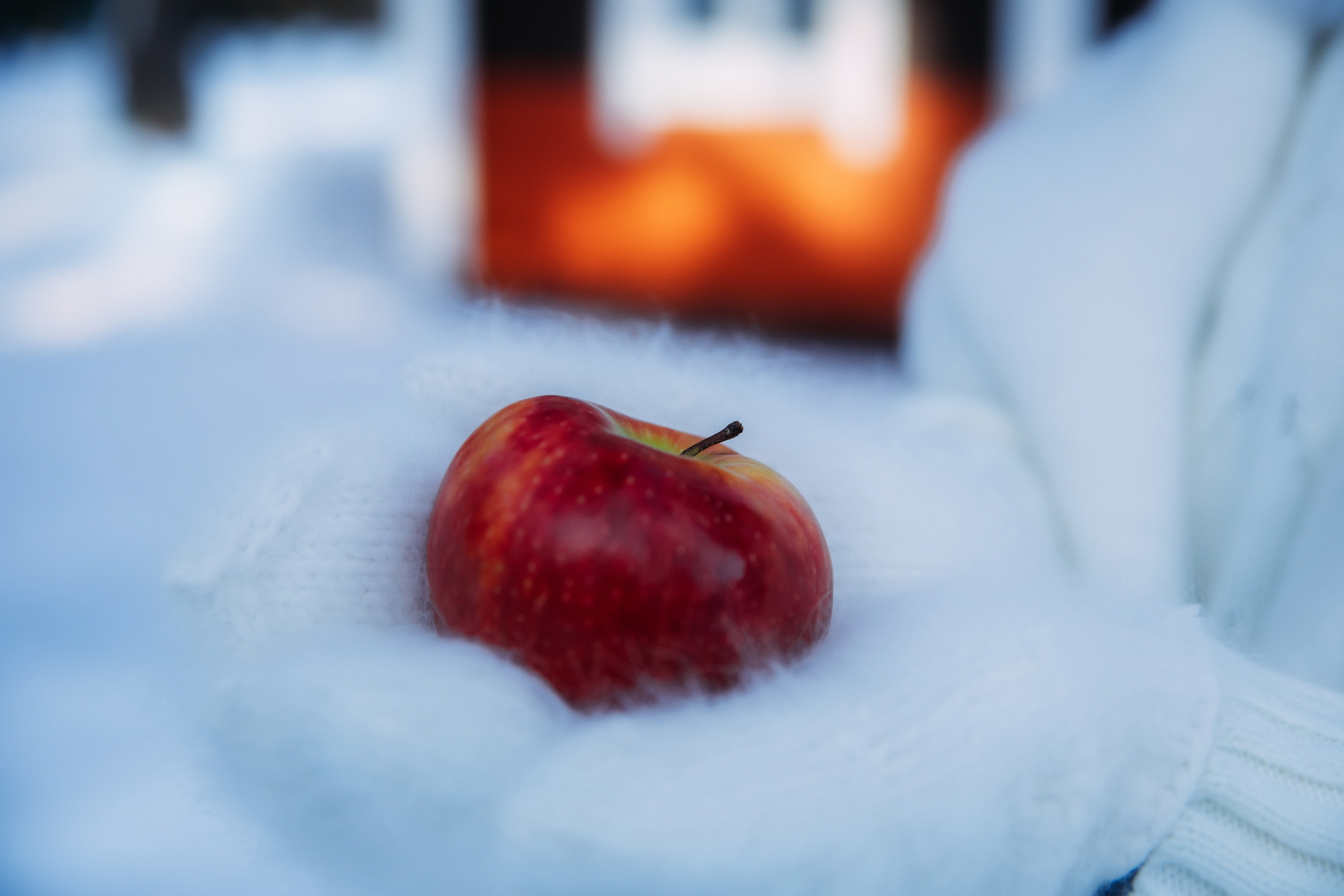 ЭЛЬВИРА. ЗИМНЯЯ ИСТОРИЯ. Женский и семейный фотограф Елена Петрова