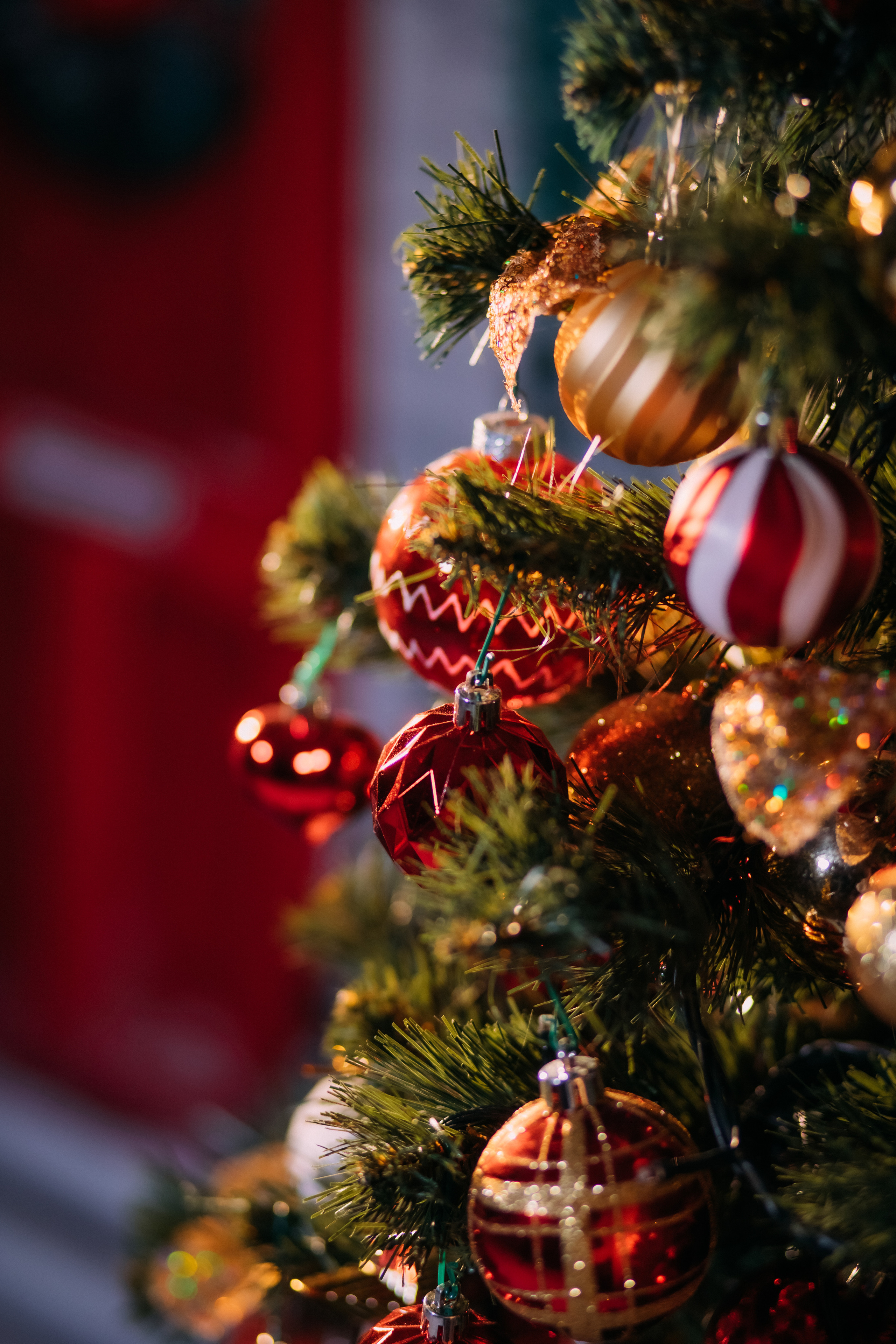 МОЯ НОВОГОДНЯЯ СТУДИЯ. 2018-2025. Женский и семейный фотограф Елена Петрова