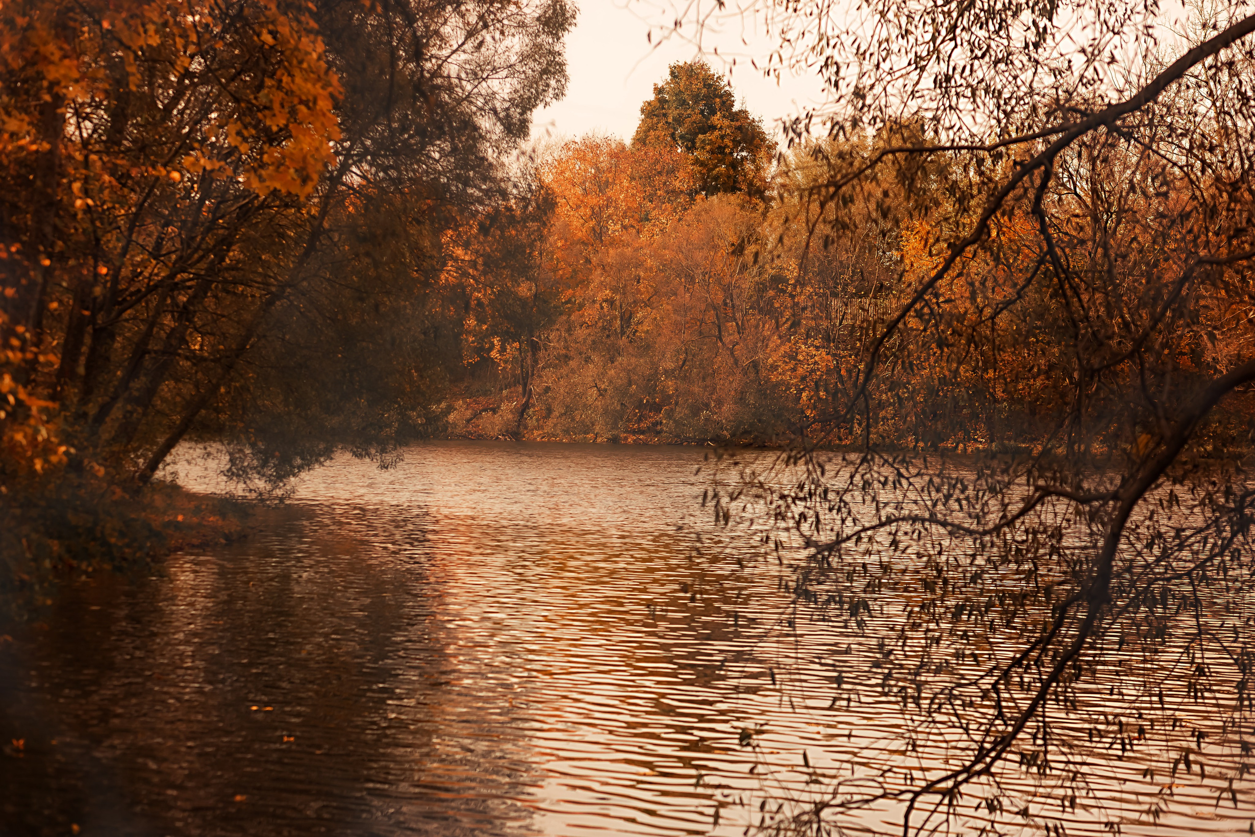 Тарханы. Съемка Таинств Крещения Венчания, детские и семейные съемки в Пензе