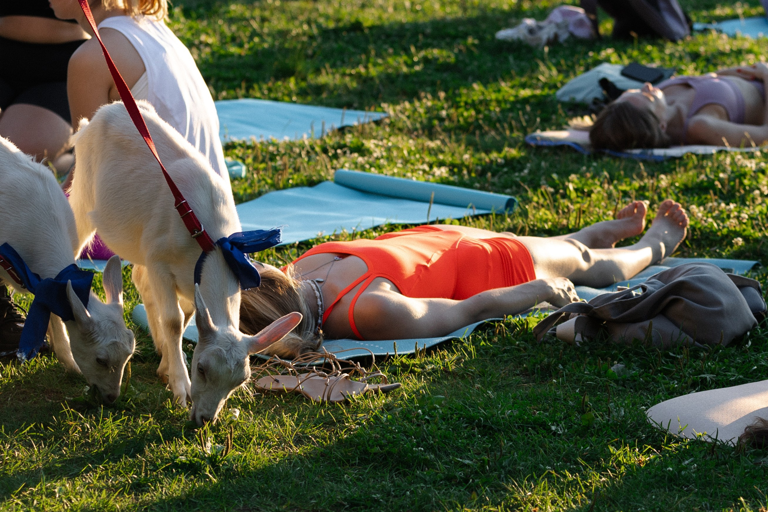 Нэннийога в парке горького. Репортажный фотограф. Свадебный фотограф в Москве Мария Крош