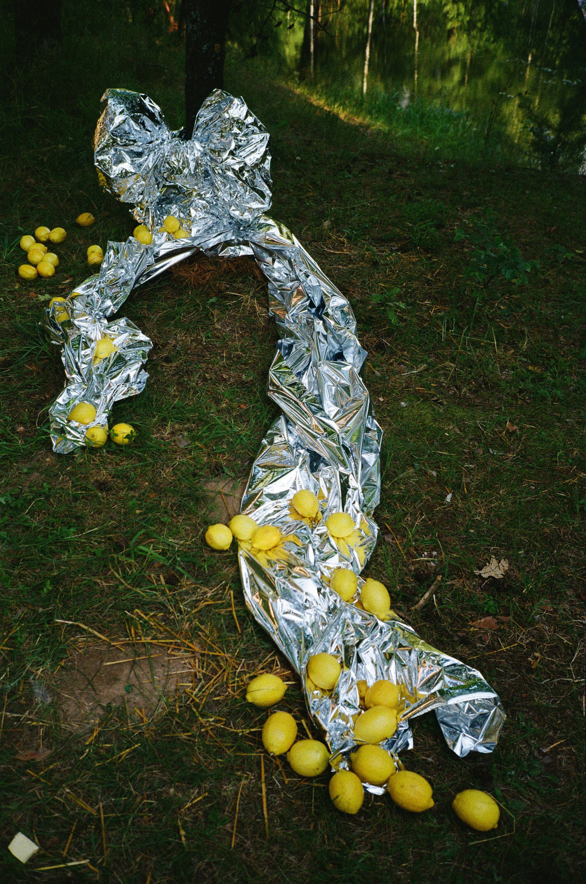 Ферма Козополянских. Свадебный фотограф Москва Светлана Анисимова