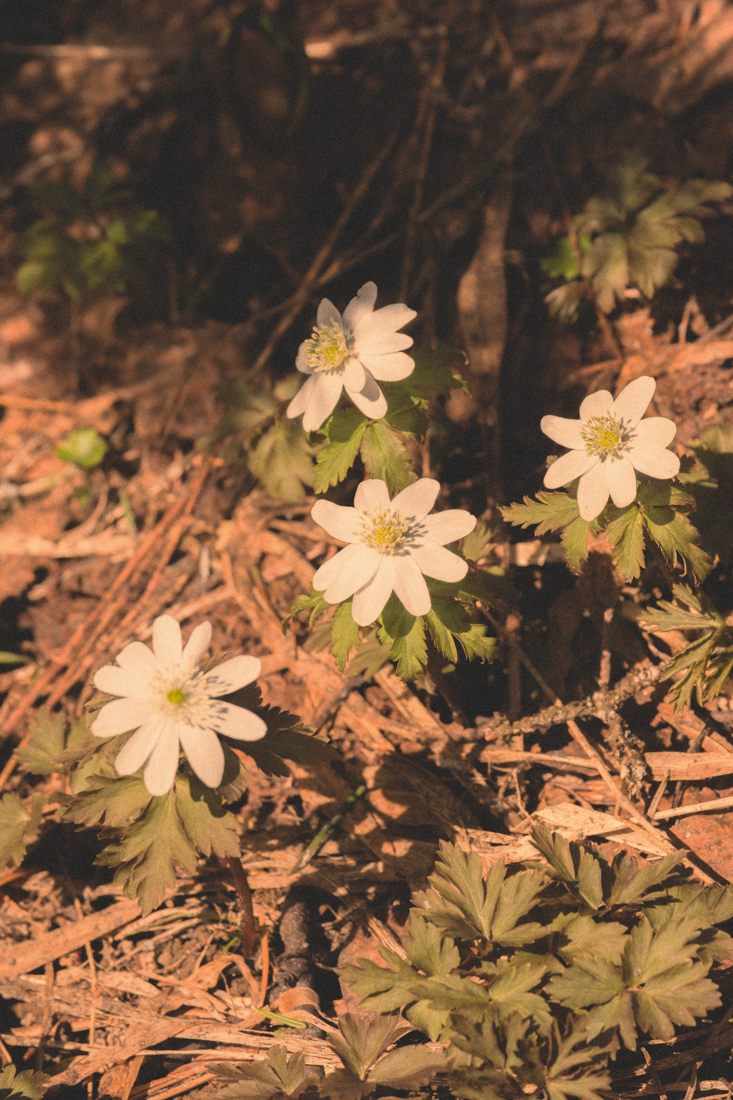 Фотограф |Герасимова София