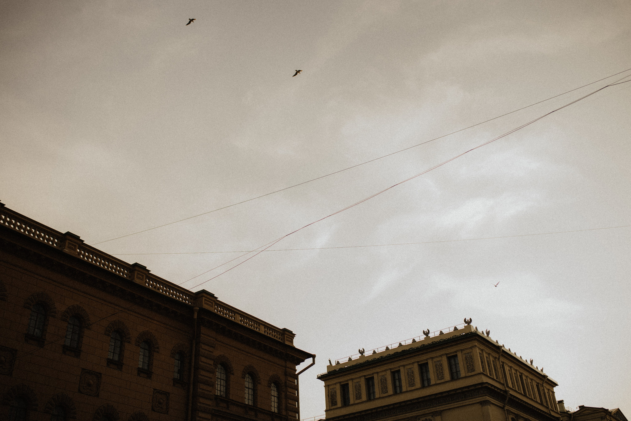 Александр и Анна | Пламя сердец и солнца. Свадебный фотограф в Санкт-Петербурге Анастасия Селиванова