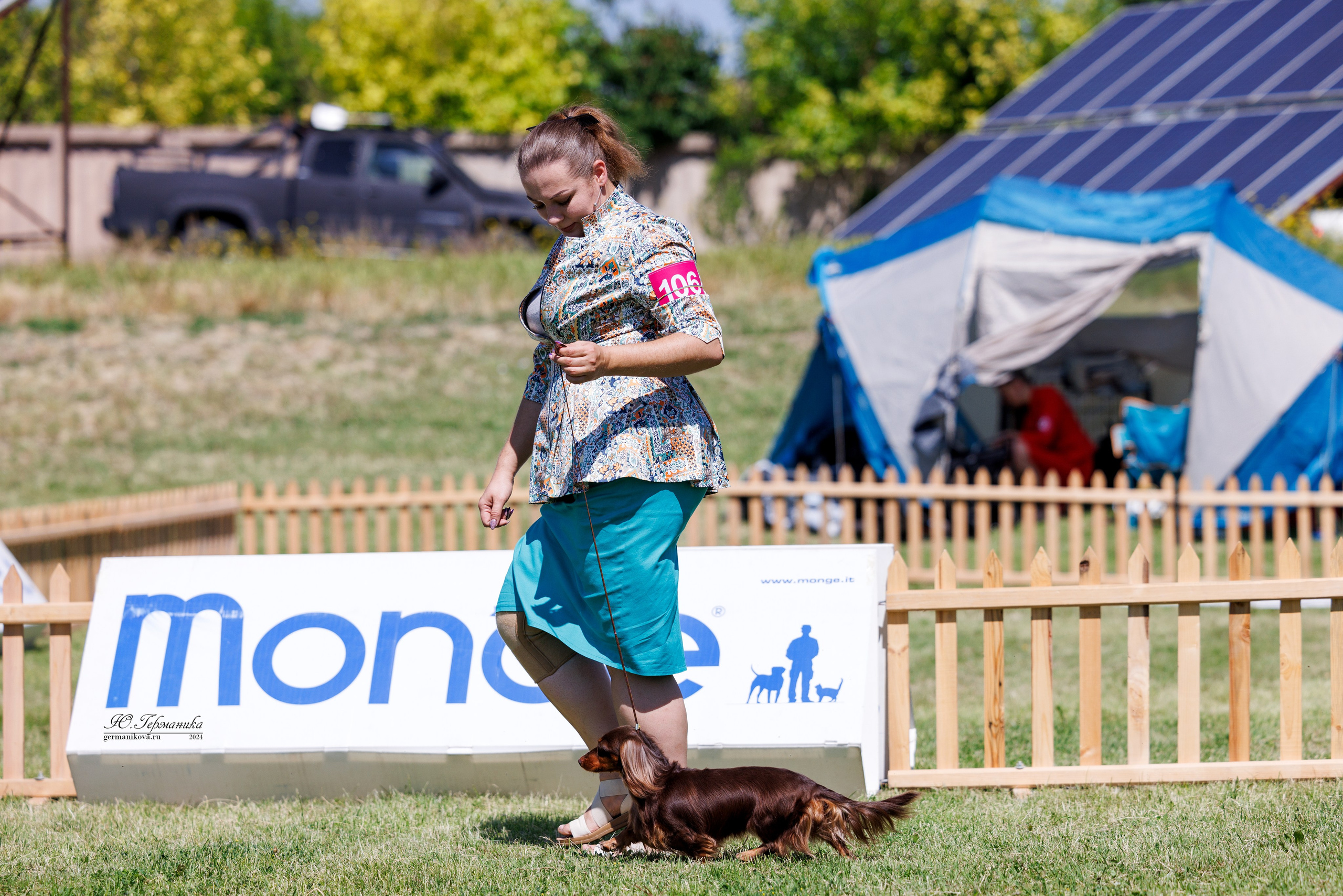Ереван 3-5.06.2024. Фотограф-анималист Юлия Германика