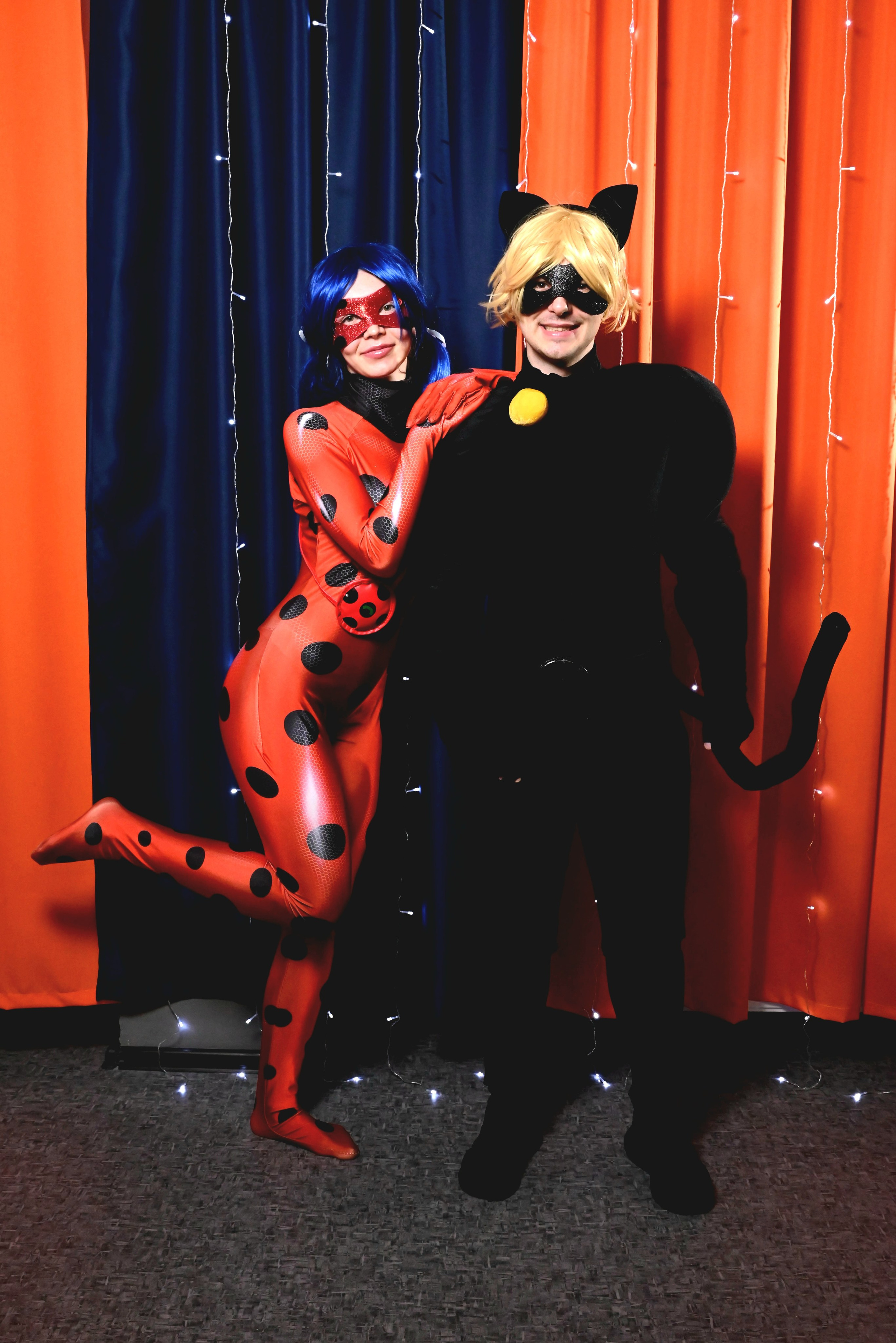 Черный кот и божья коровка. Девятое королевство