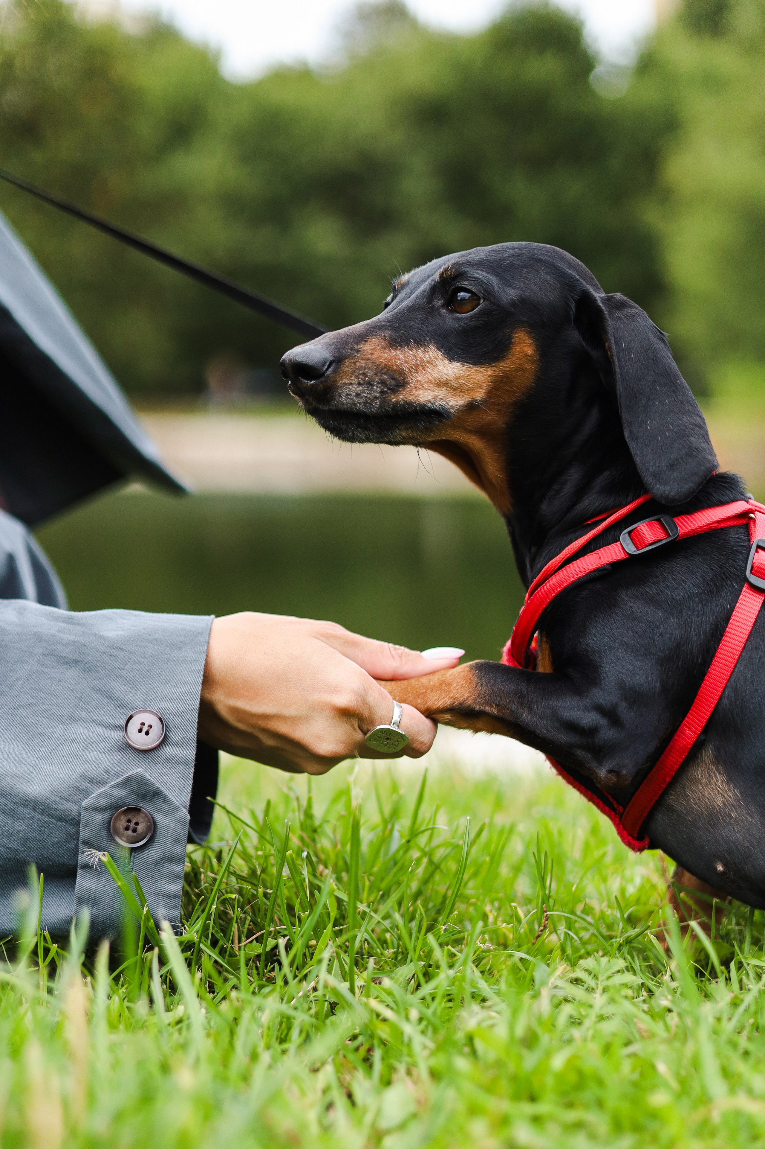 Моня и Оля. Фотограф-анималист Ксения Шевцова|Москва