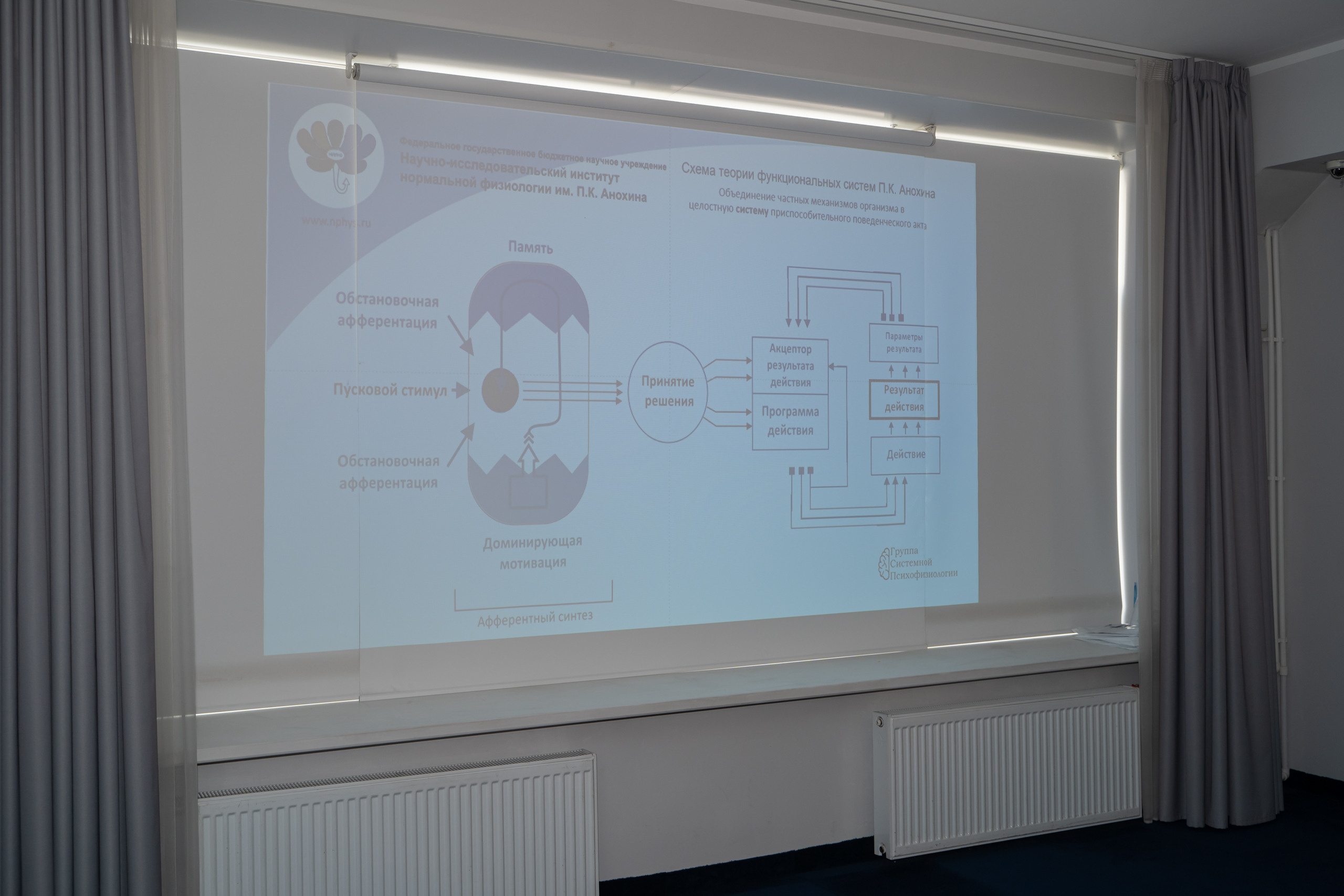 Медицинская конференция. Фотограф в Санкт-Петербурге, фотодни в СПБ