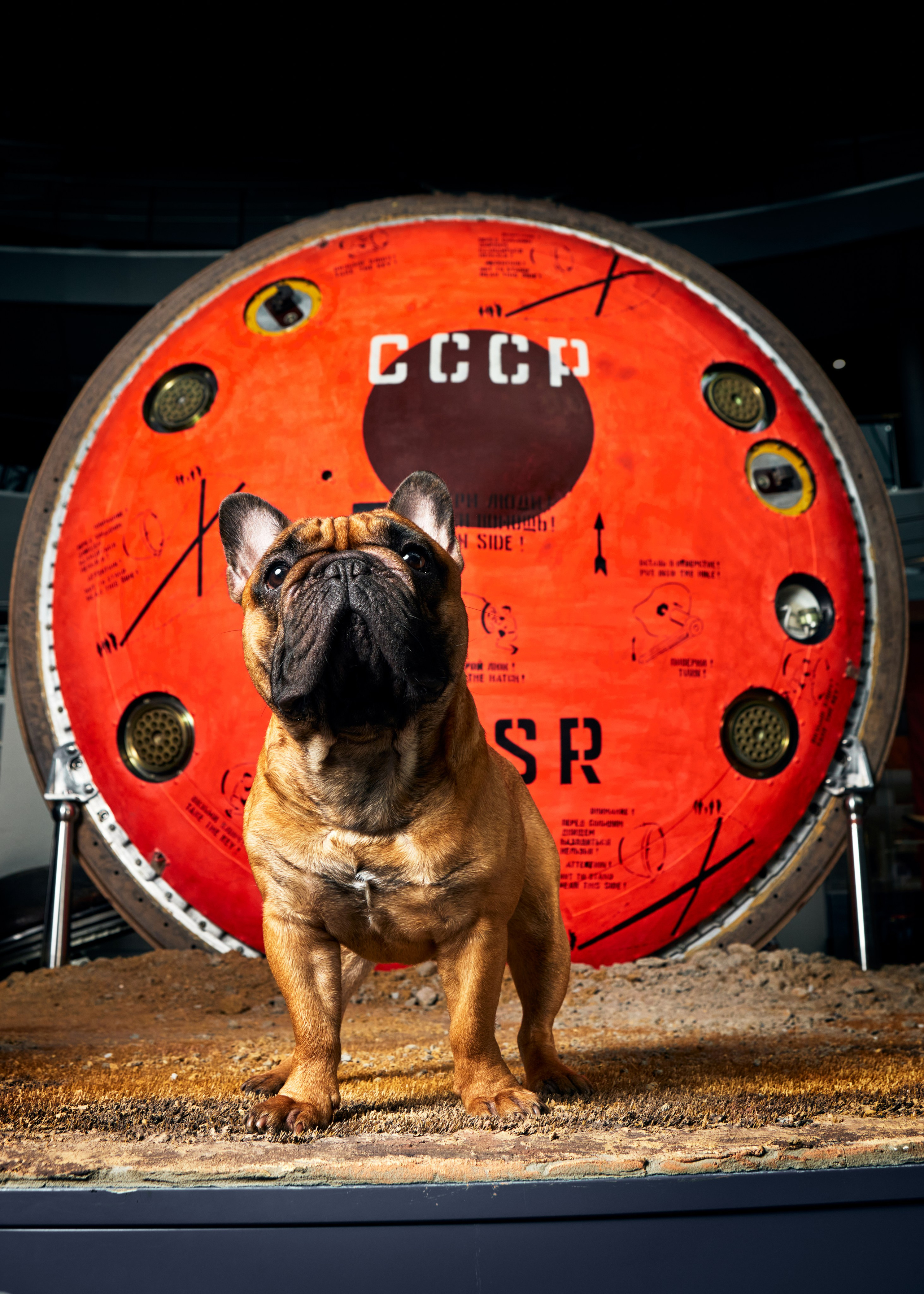 Три космоса. Фотограф Михаил Стенин