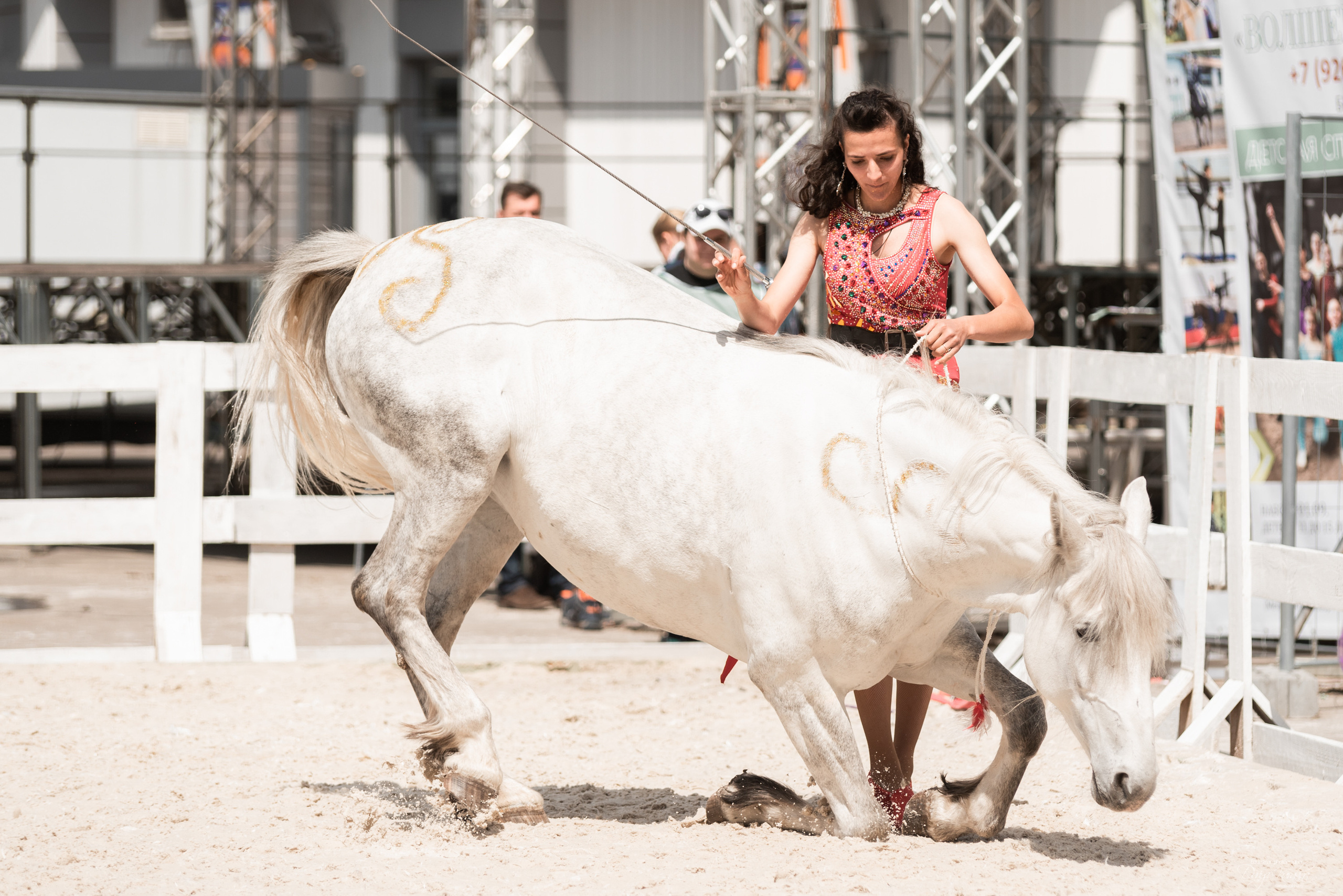 Эквирос 2023. Конный фотограф Куракина Дарья • Фотосессии с лошадьми