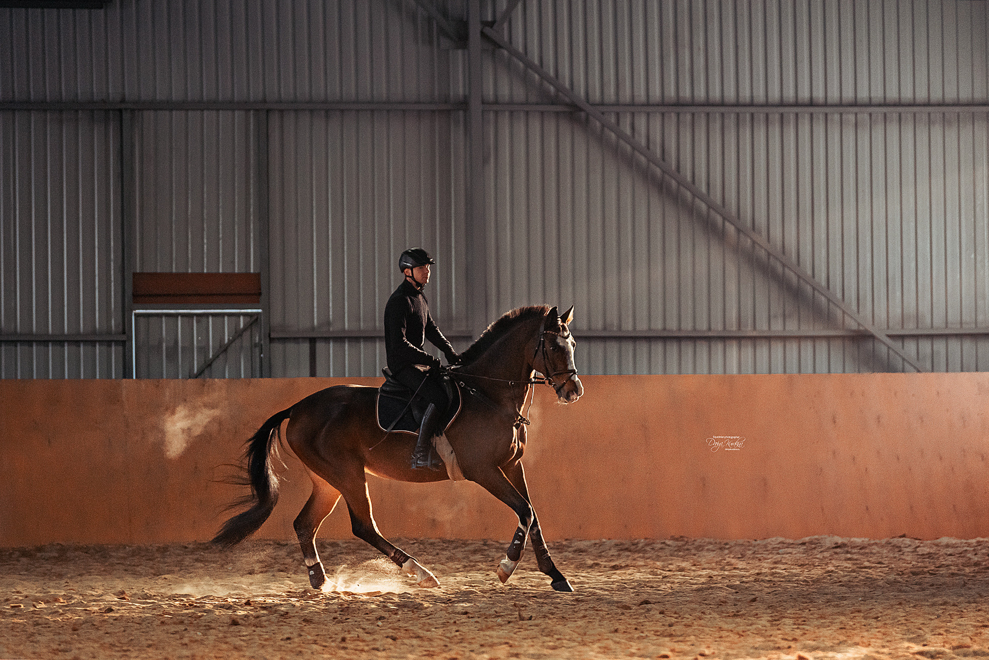 Головинка. Конный фотограф Куракина Дарья • Фотосессии с лошадьми