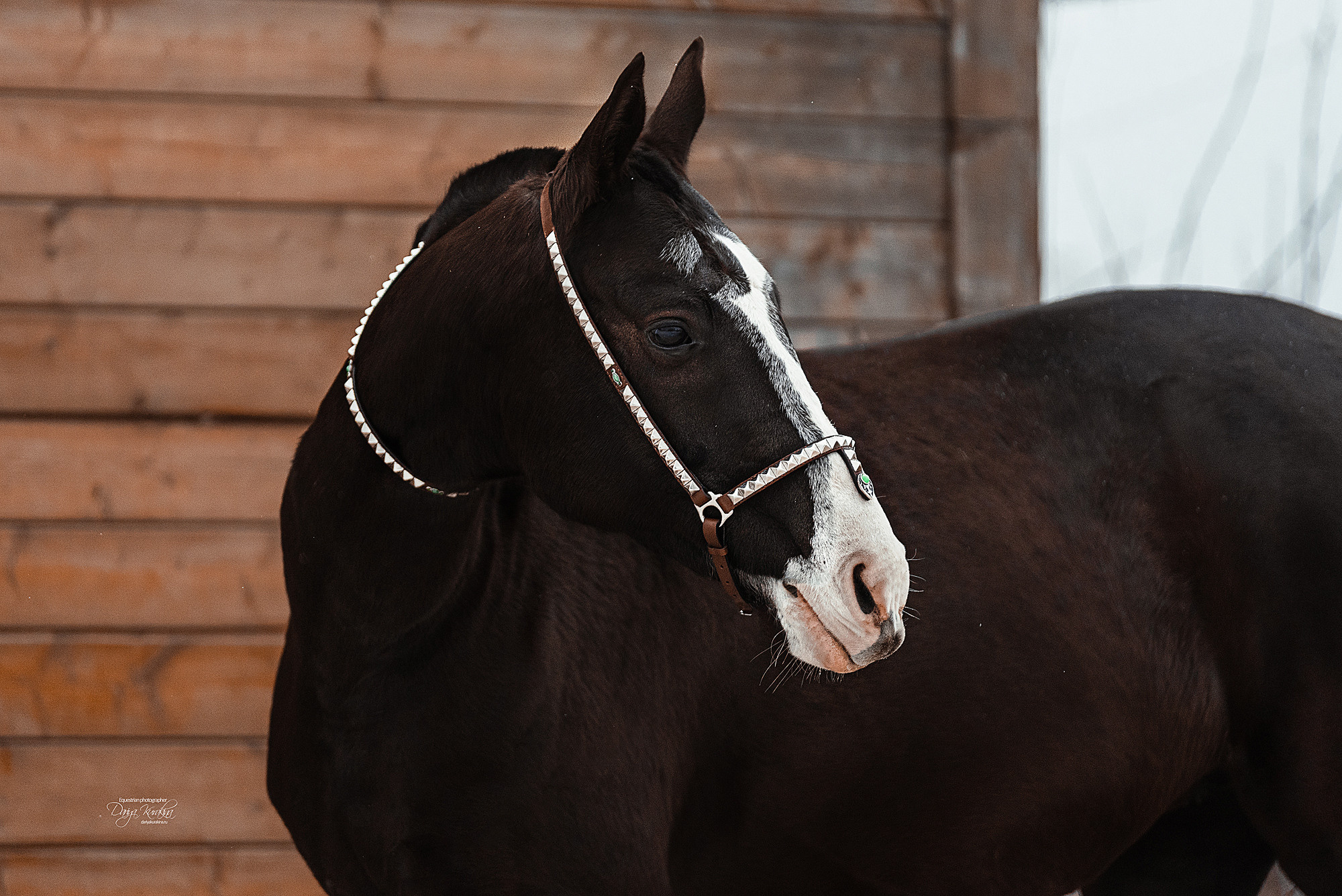 Рапунцель и Куна. Конный фотограф Куракина Дарья • Фотосессии с лошадьми