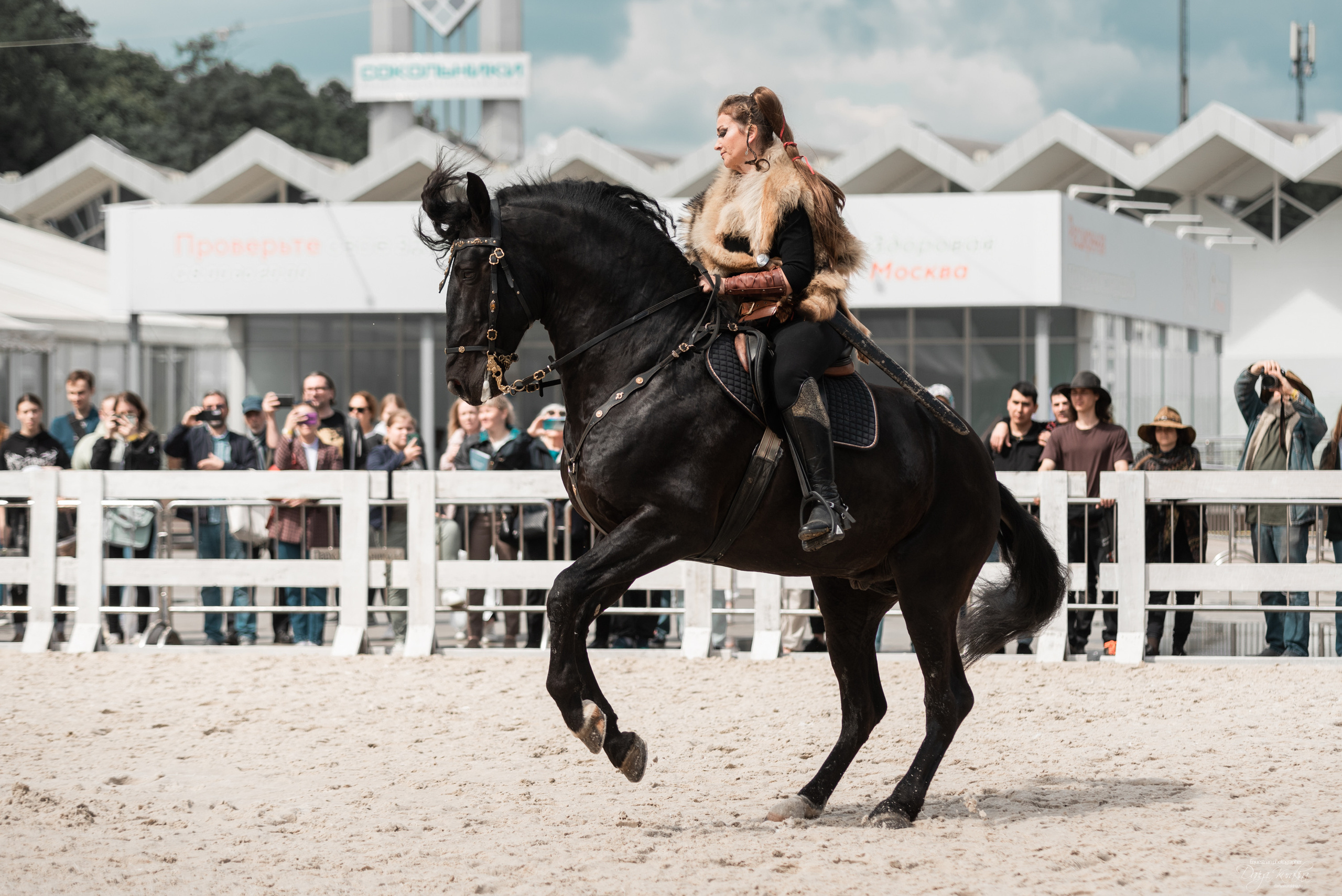 Эквирос 2023. Конный фотограф Куракина Дарья • Фотосессии с лошадьми