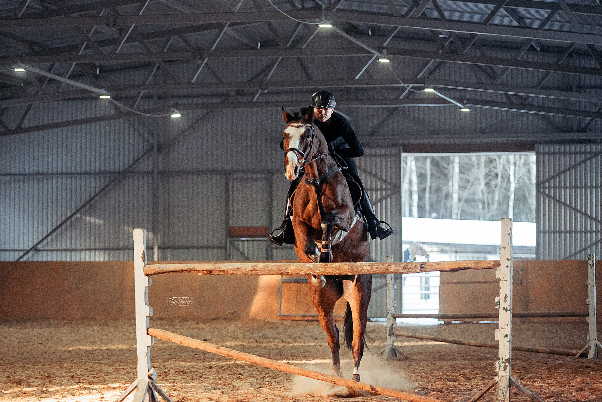Головинка. Конный фотограф Куракина Дарья • Фотосессии с лошадьми
