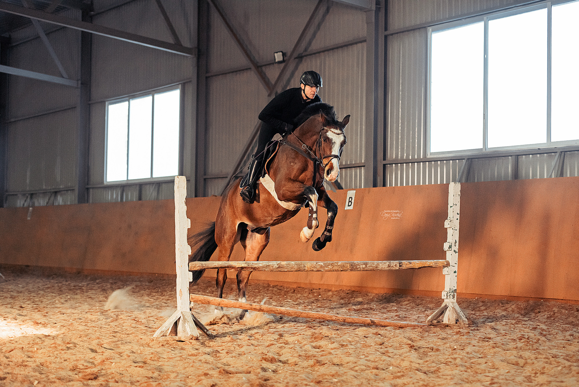 Головинка. Конный фотограф Куракина Дарья • Фотосессии с лошадьми